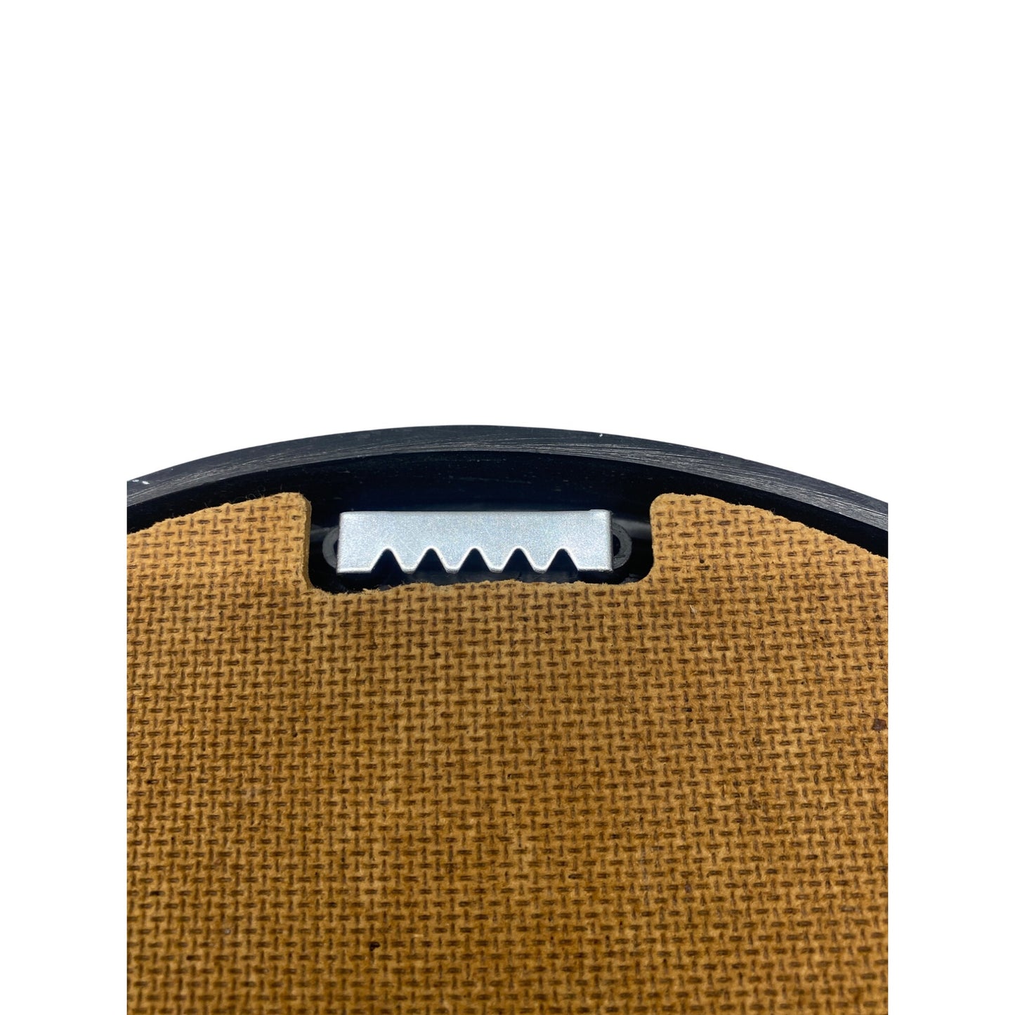 Vintage Oval Framed Bird Print By Julia Grainer In Gold Frame With Floral Background