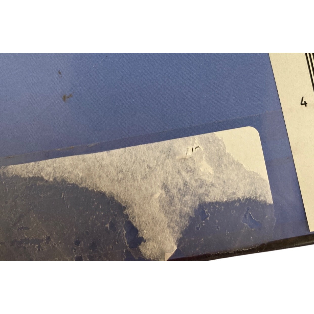 Recollections Label Me Sweet 12 Clear Stamps Set For Crafting & Scrapbooking