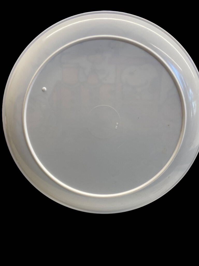 Vintage 1965 Peanuts Charlie Brown Snoopy Lucy Linus Sally Woodstock Plastic Plate