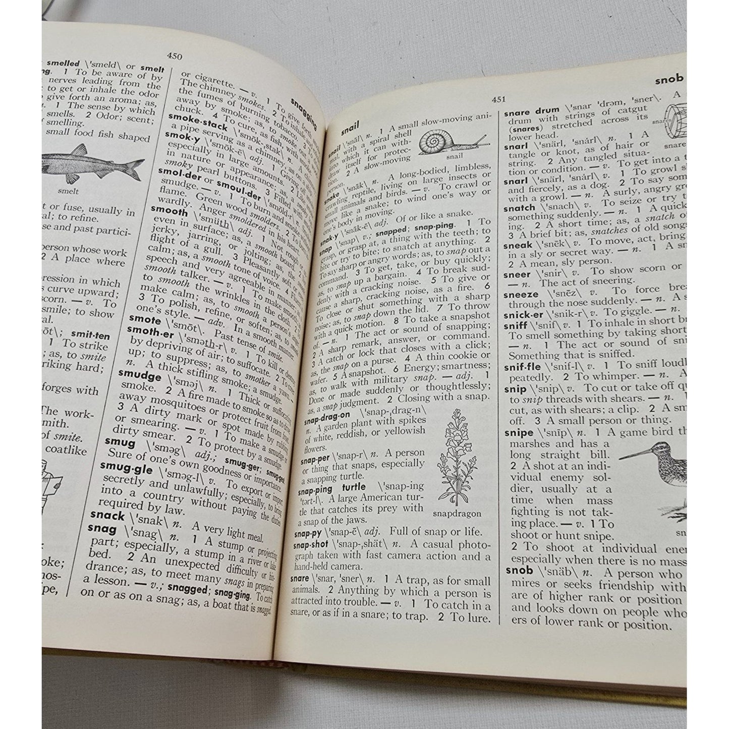 1971 Webster's Elementary Dictionary