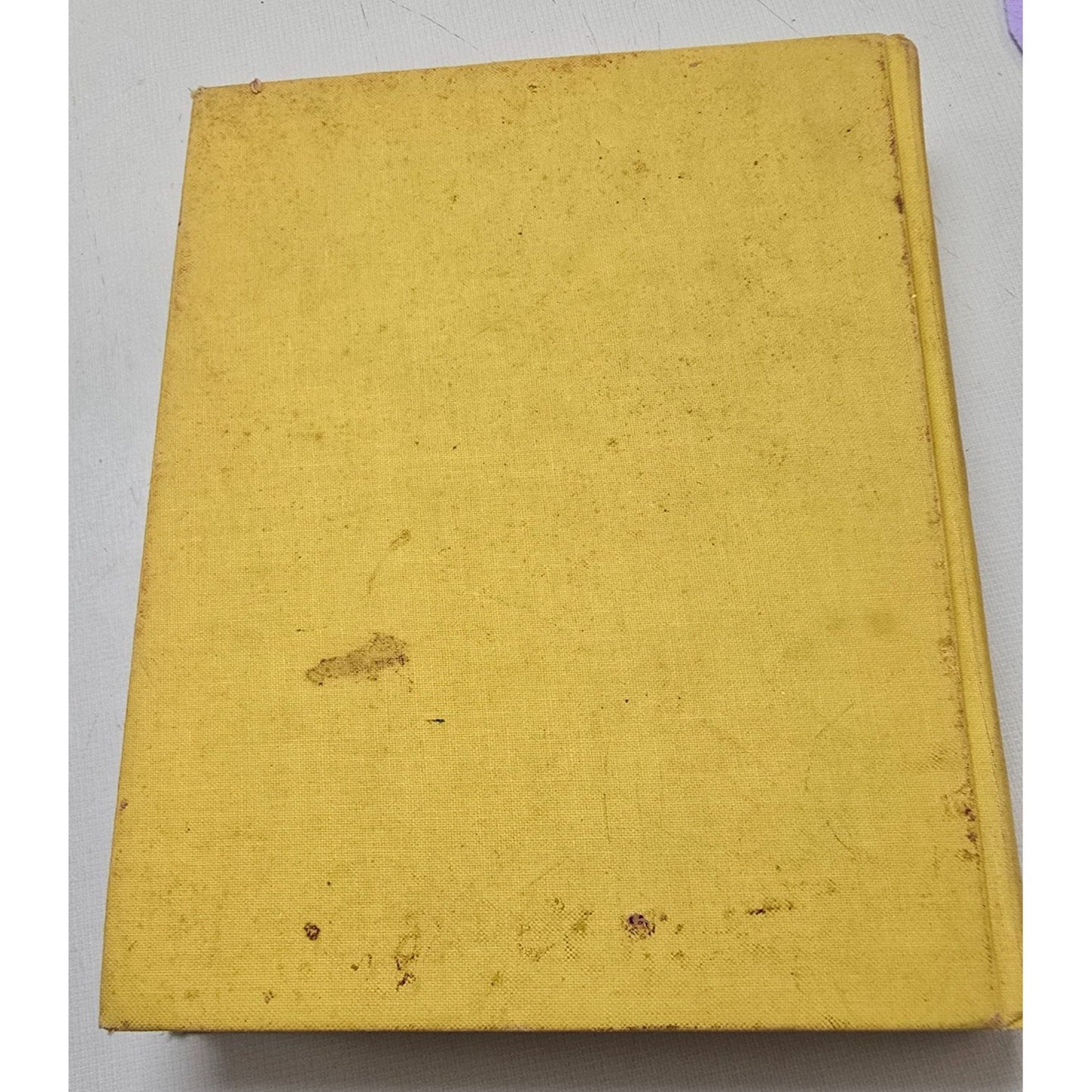 1971 Webster's Elementary Dictionary