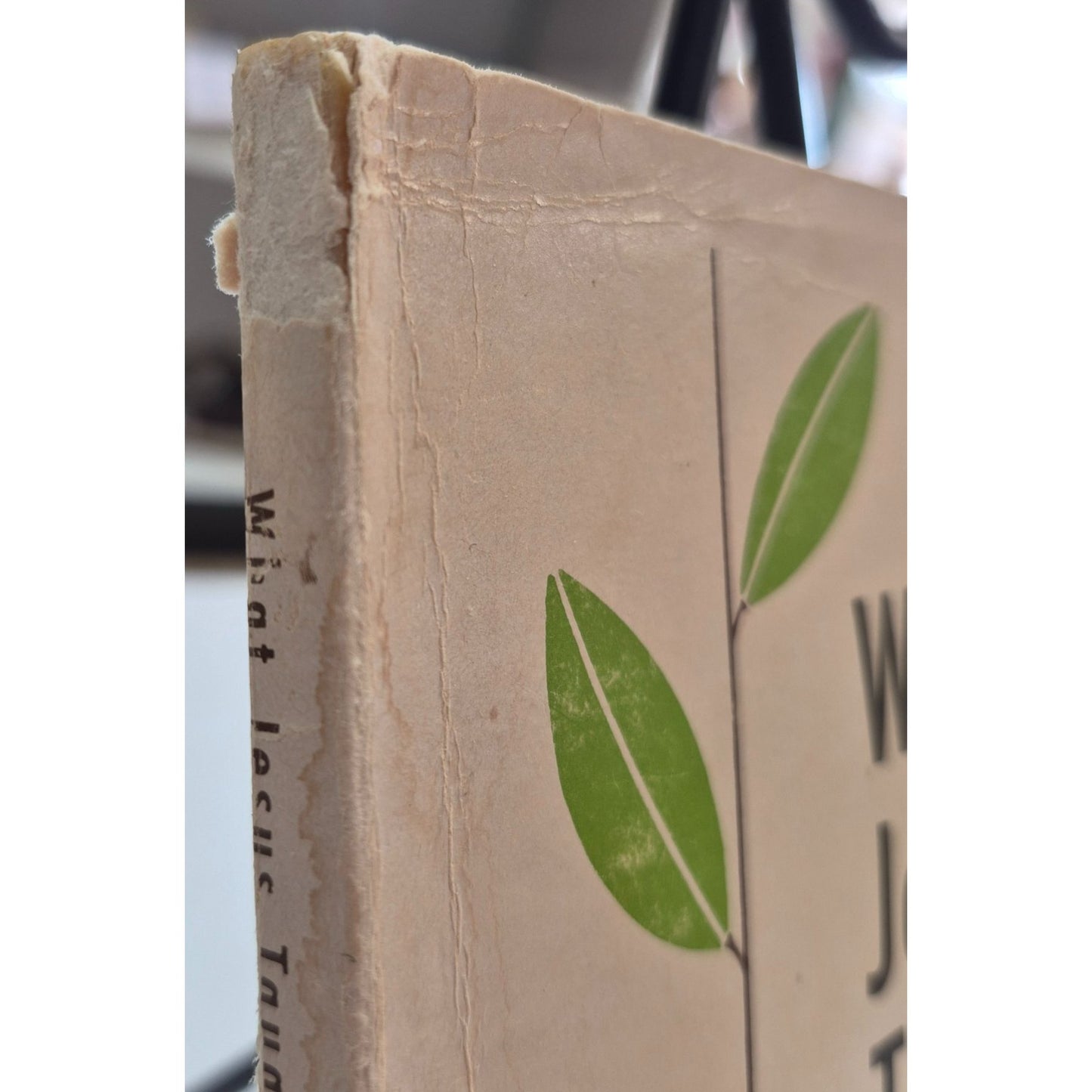 What Jesus Taught 1965