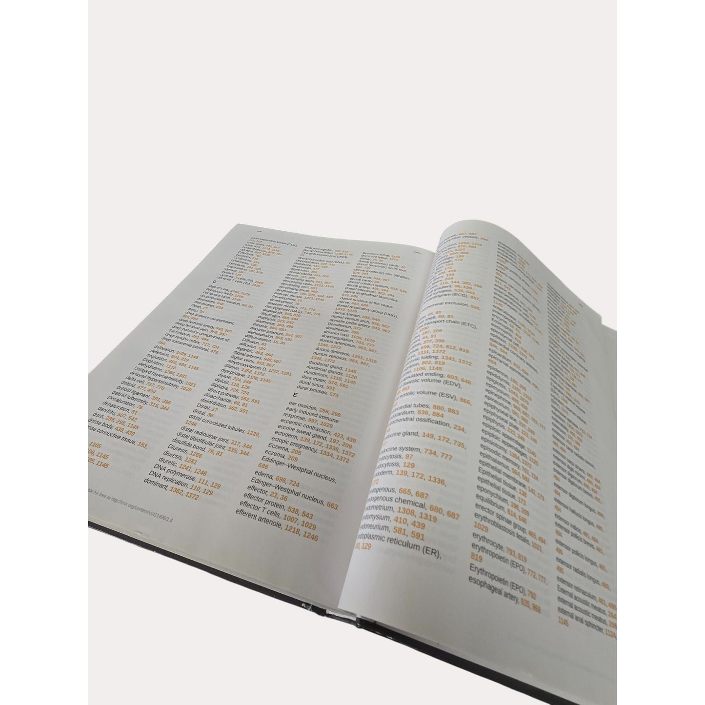 Anatomy & Physiology Hardcover By OpenStax Textbook With Illustrations & Diagrams