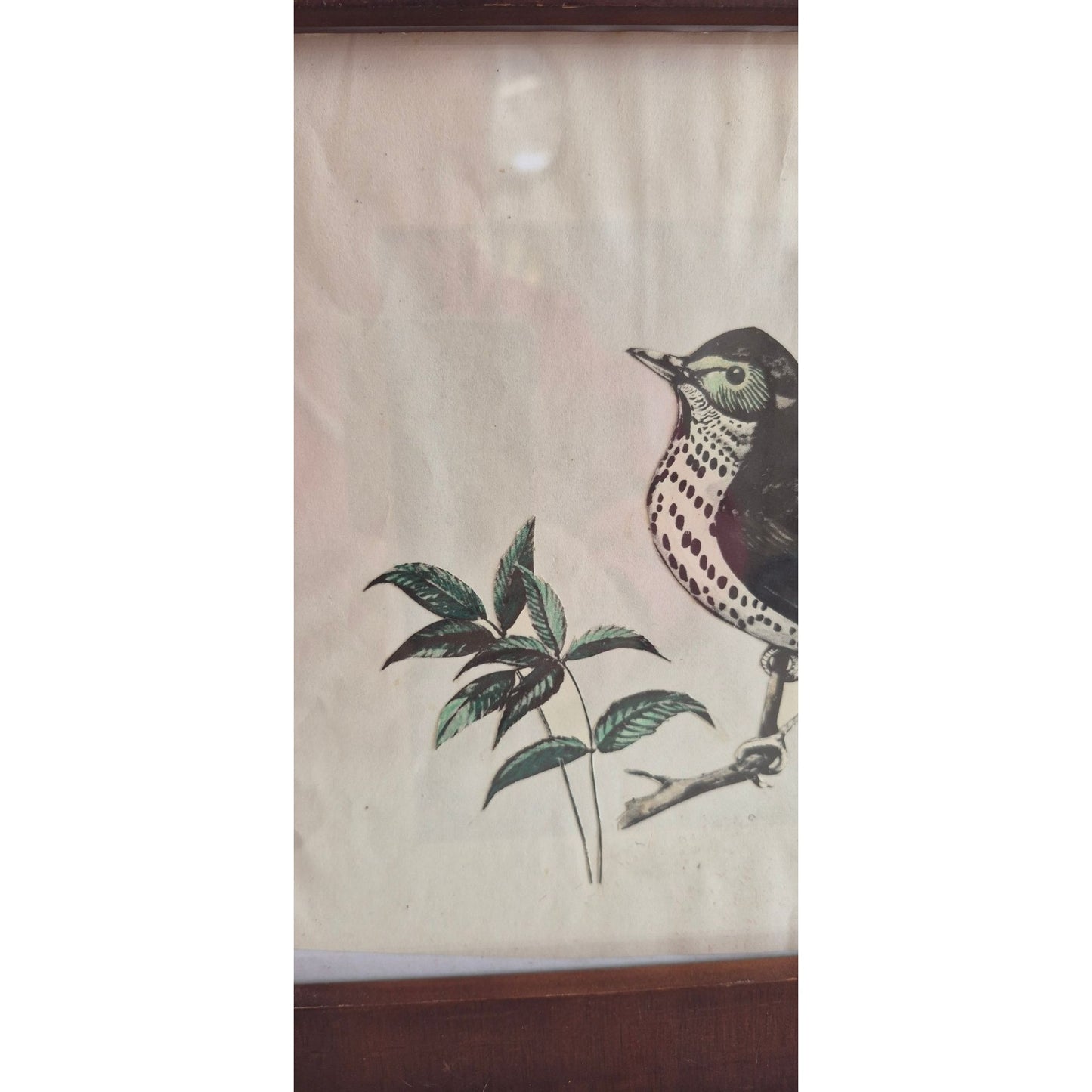Vintage Framed SongBird Cut Out