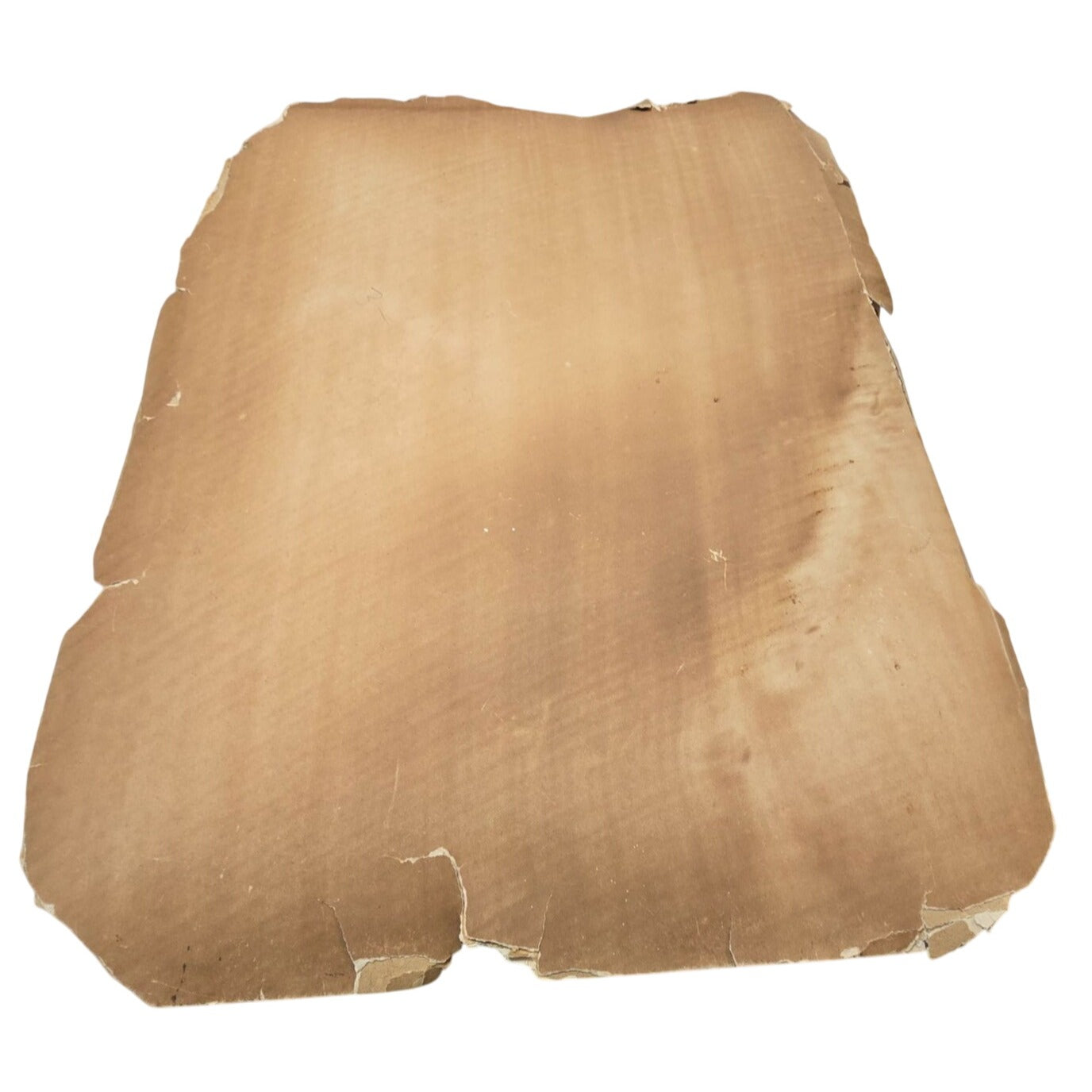 Antique Sepia Funeral Photo c.1900