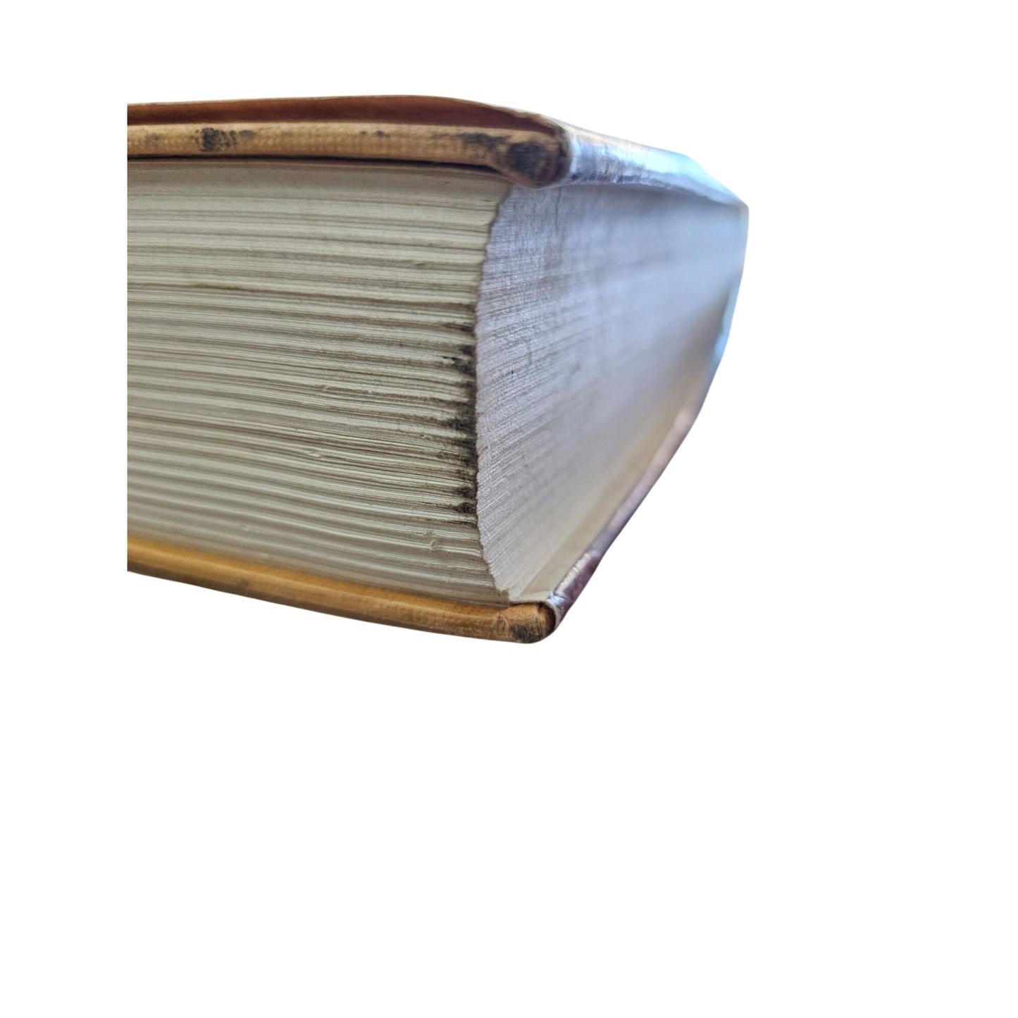 The Plains Of Passage By Jean M. Auel