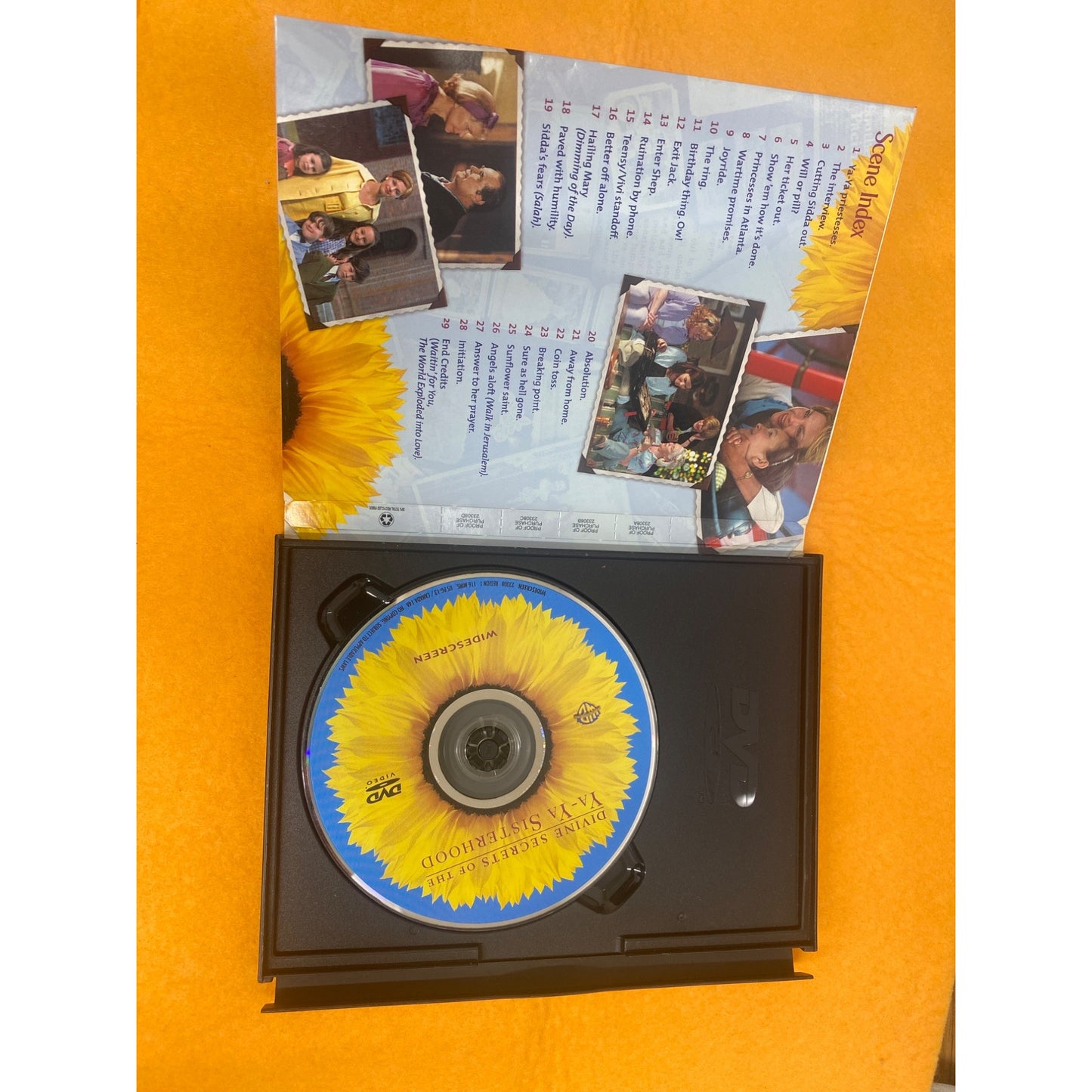 "Divine Secrets Of The Ya-Ya Sisterhood" DVD Widescreen Edition