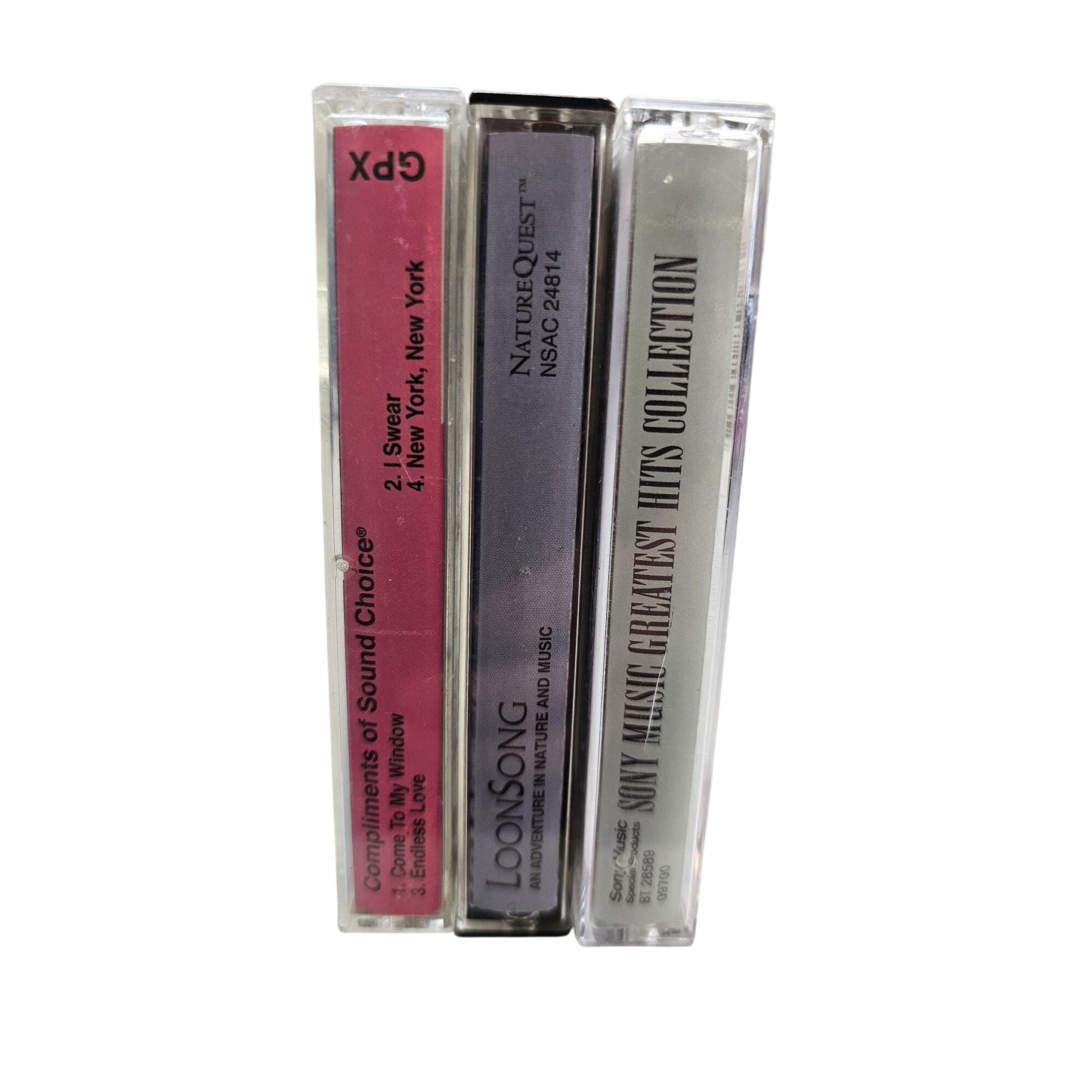 Sony Musics Greatest Hits Nature Quest Loon Song