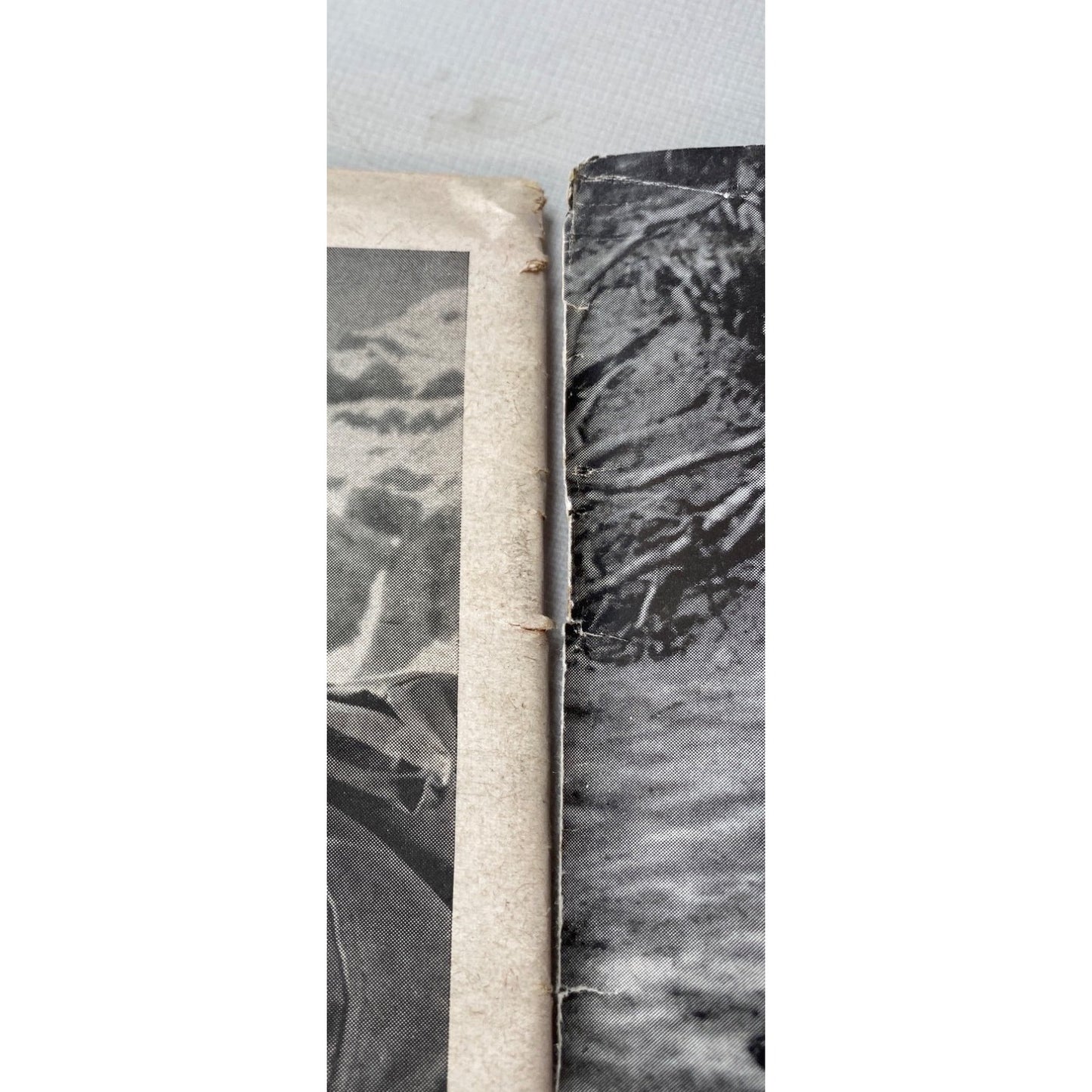 The American Rifleman January 1969