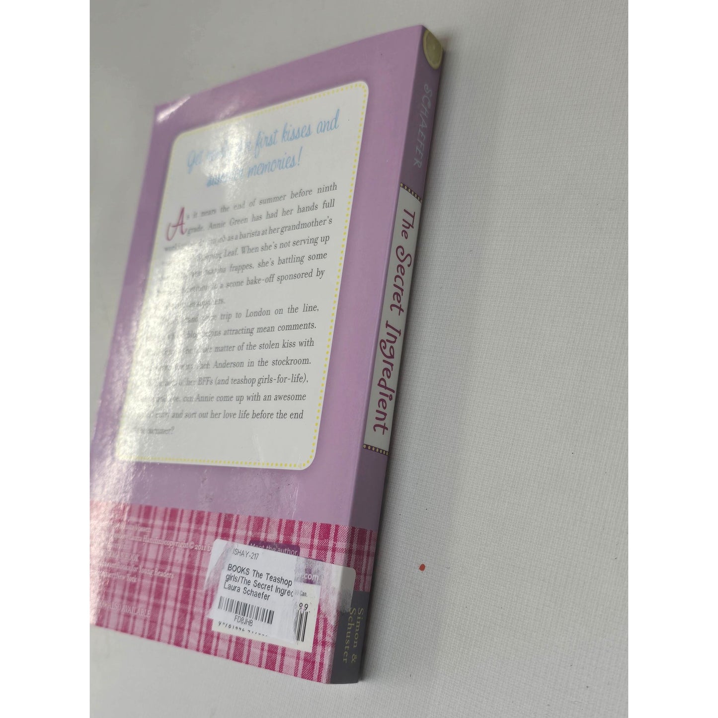 The Secret Ingredient By Laura Schaefer