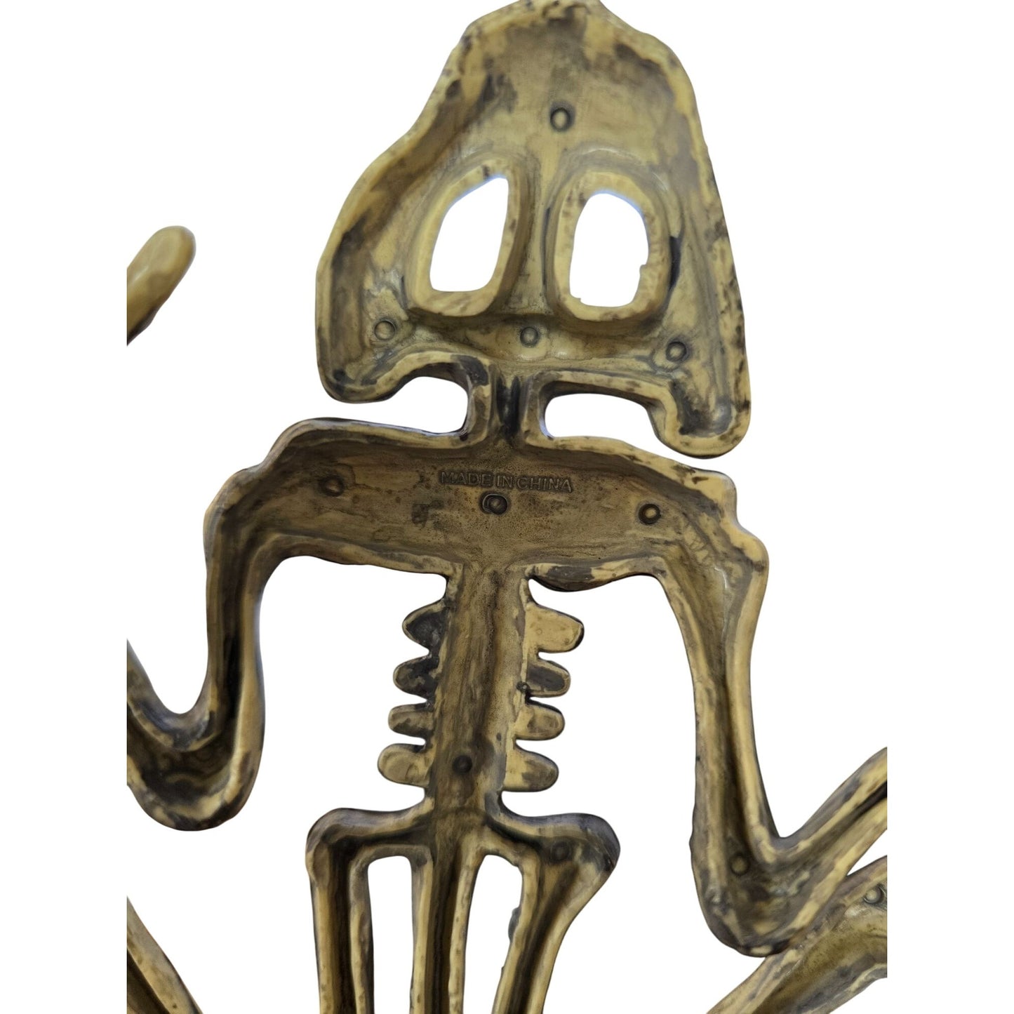 Halloween Frog Skeleton