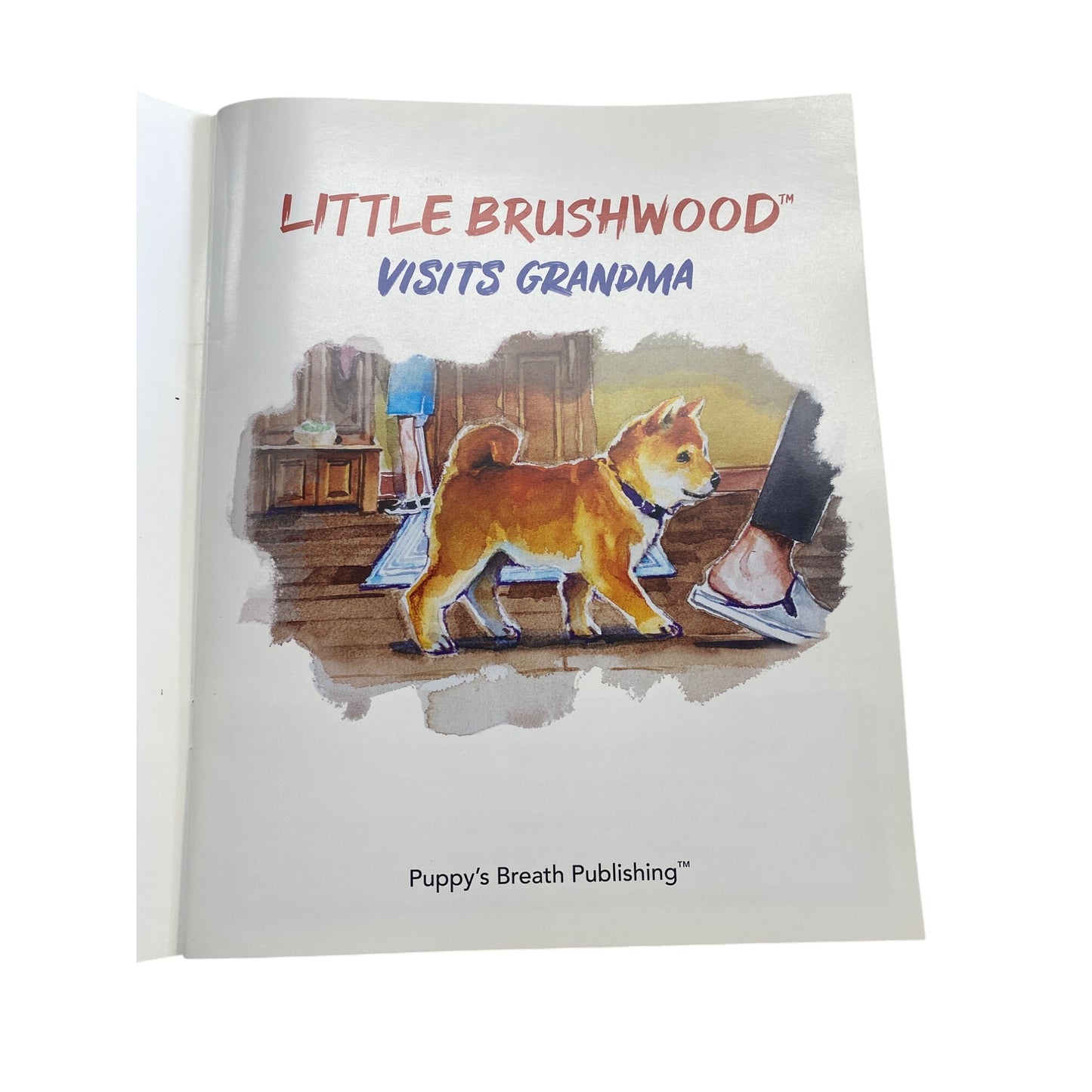"Little Brushwood Visits Grandma" Childrens Book By Pups Breath Publishing Paperback Illustrated Story By Brian & Jen Garrison