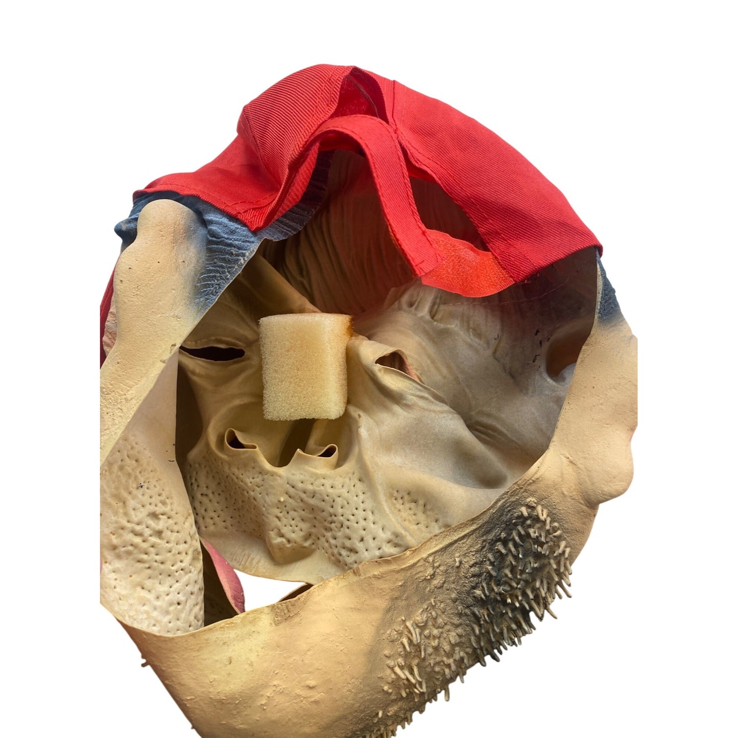 Red Baseball Cap & Bearded Face Mask Costume