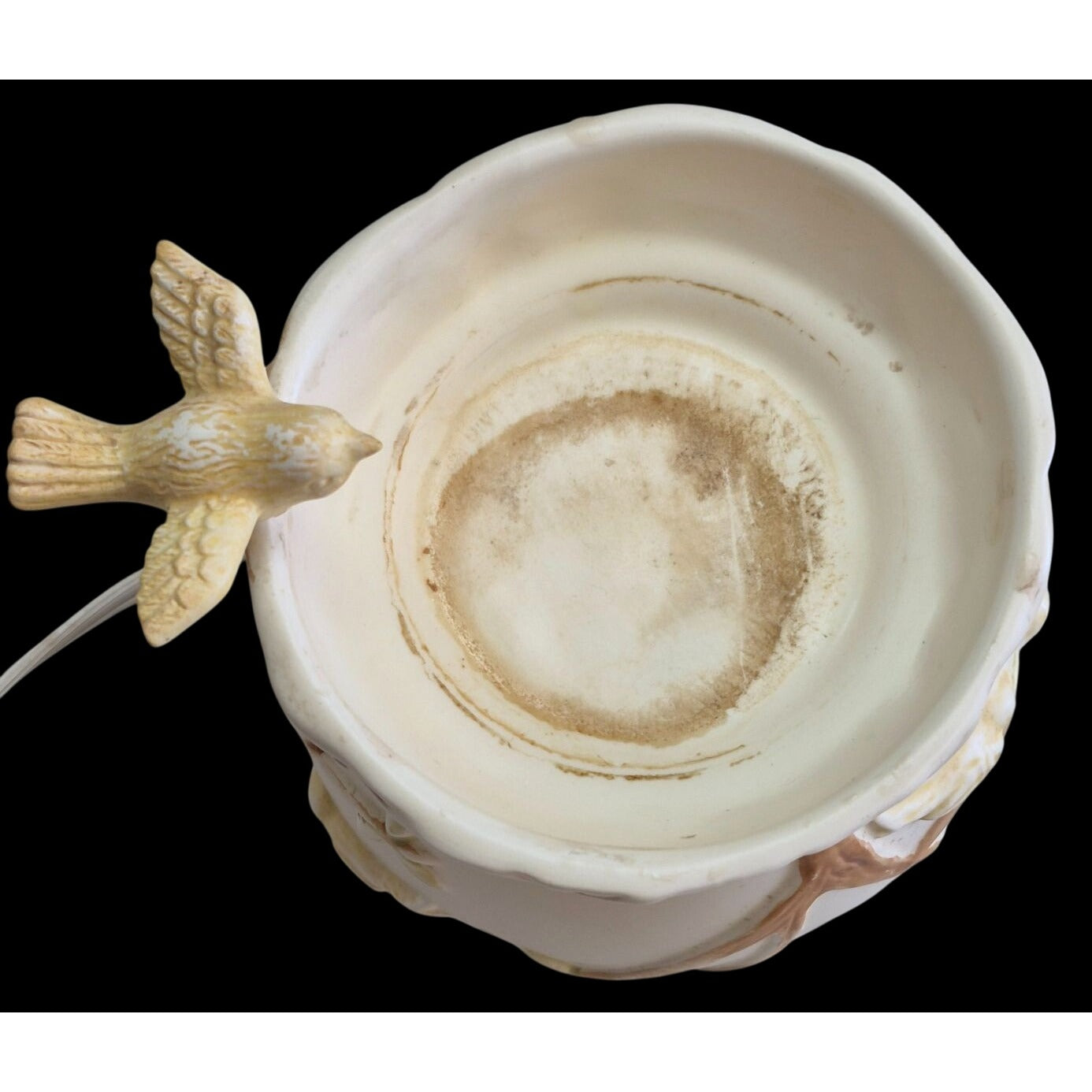 Scentsy Nature's Haven