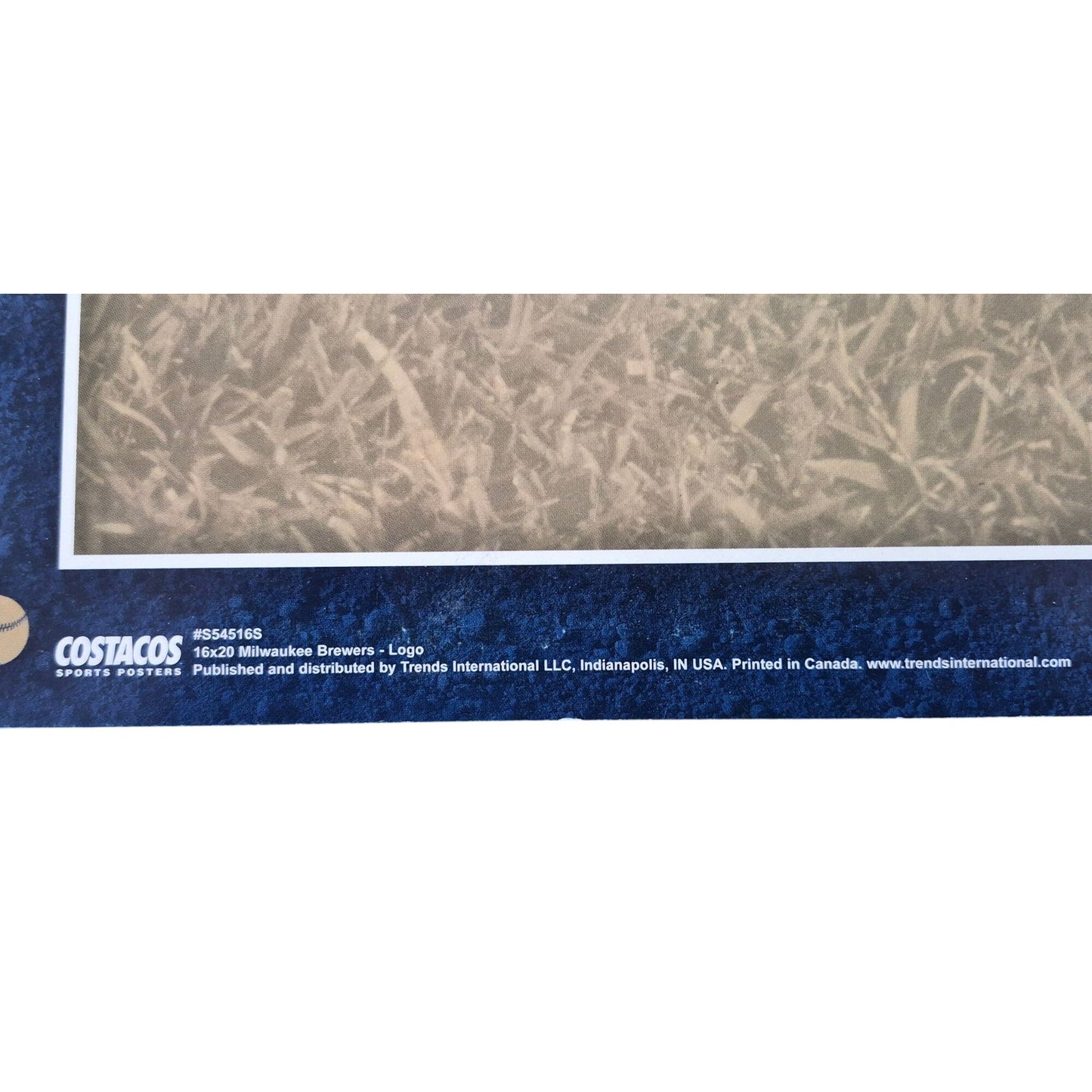 Milwaukee Brewers  Poster