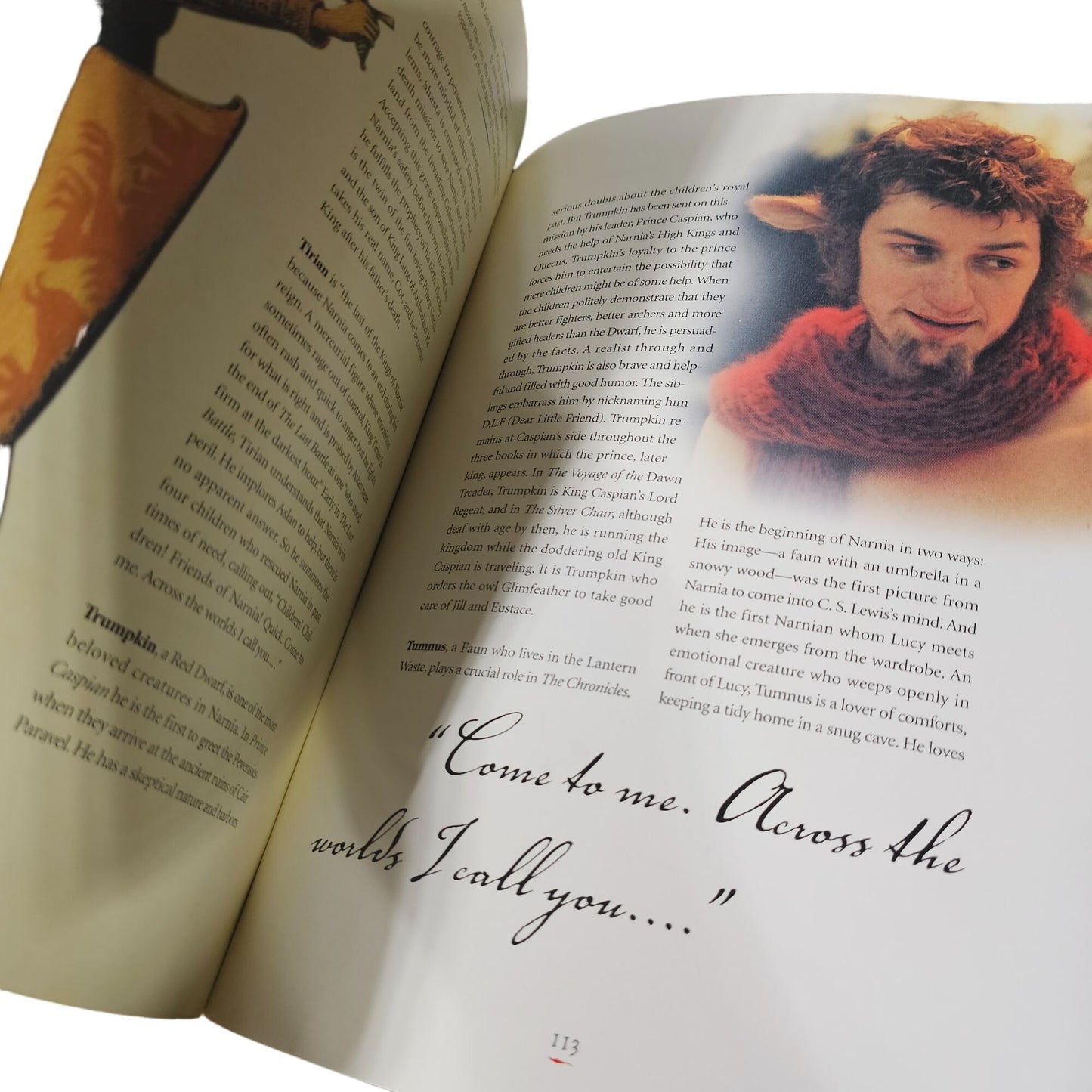 The Chronicles Of Narnia: Beyond The Wardrobe Official Guide To Narnia Book