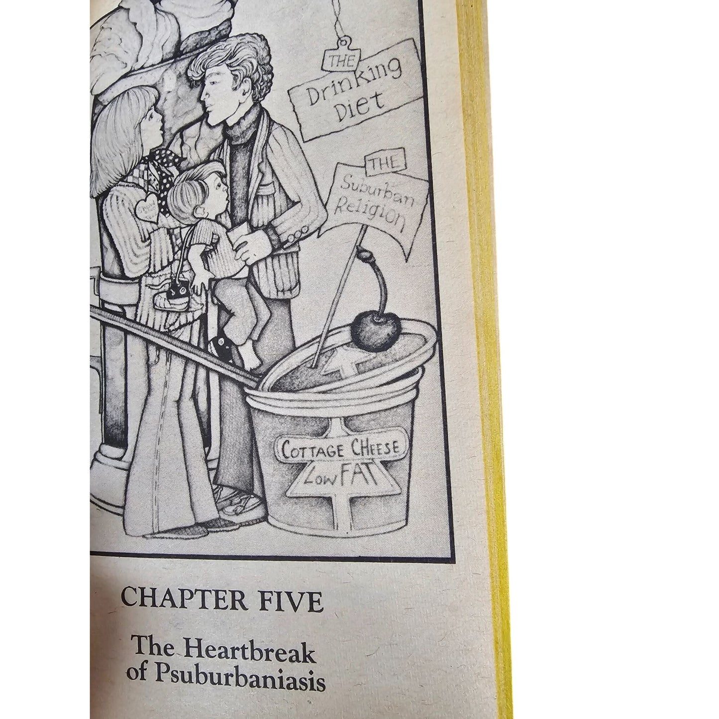 The Grass Is Always Greener Over The Septic Tank By Erma Bombeck Paperback 1976 Illustrated Bestseller