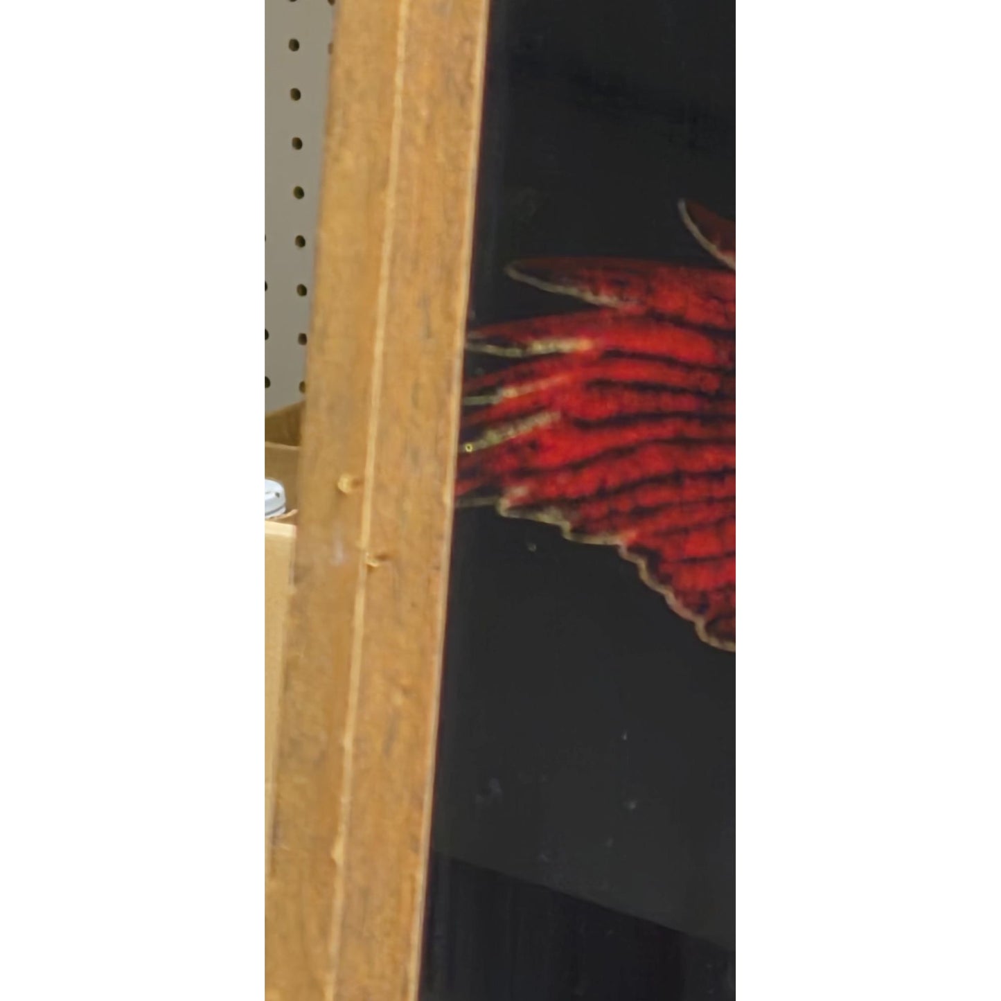 Vintage "Live To Ride" Framed Art With Eagle Design