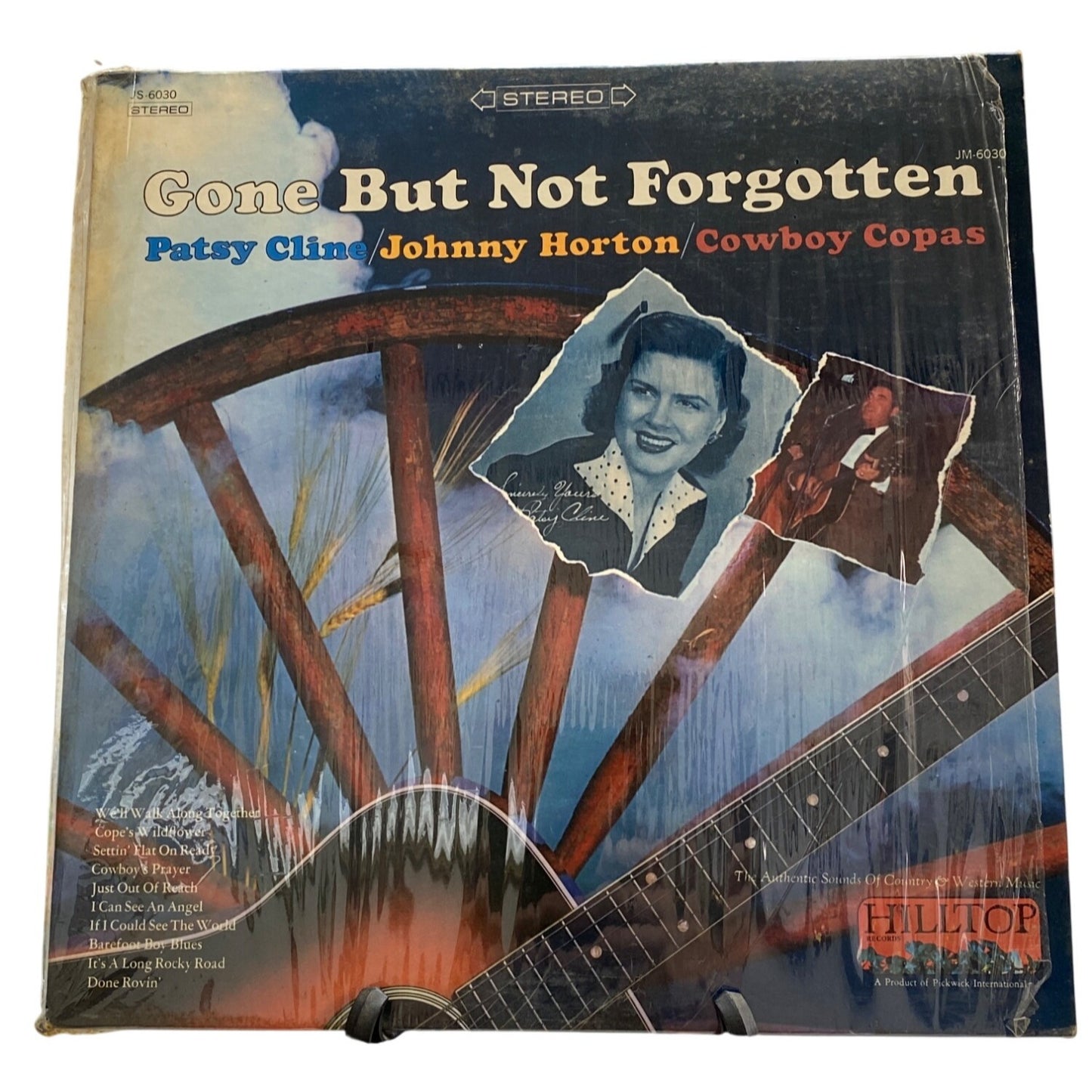 Gone But Not Forgotten Vinyl Record