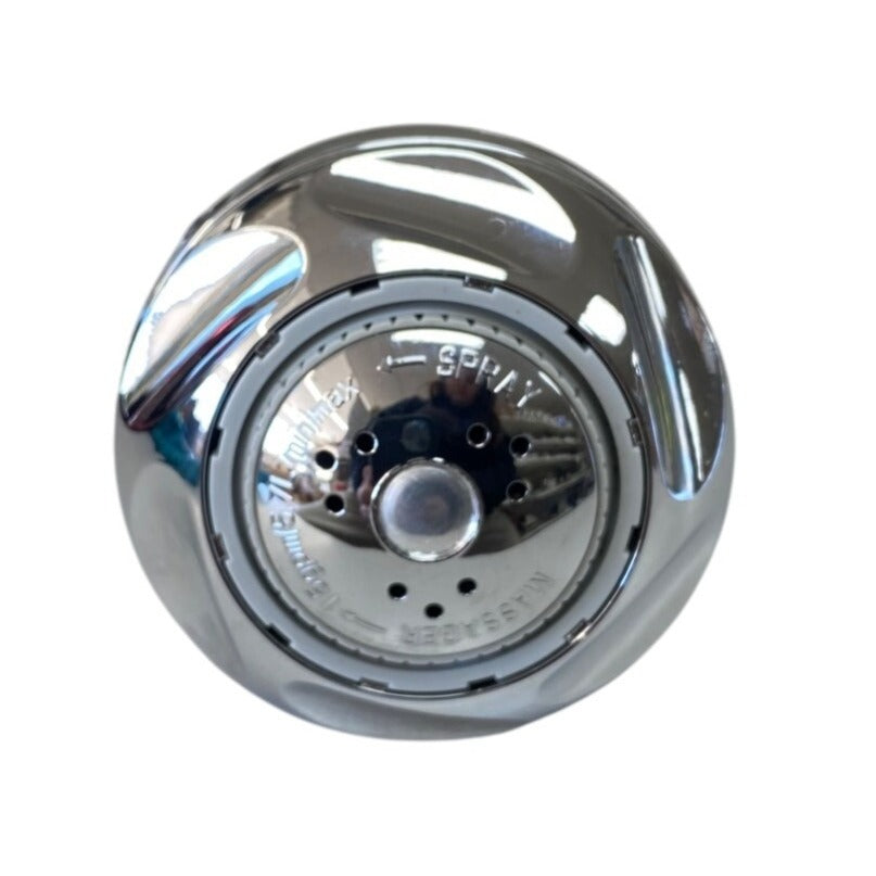 Chrome Shower Head