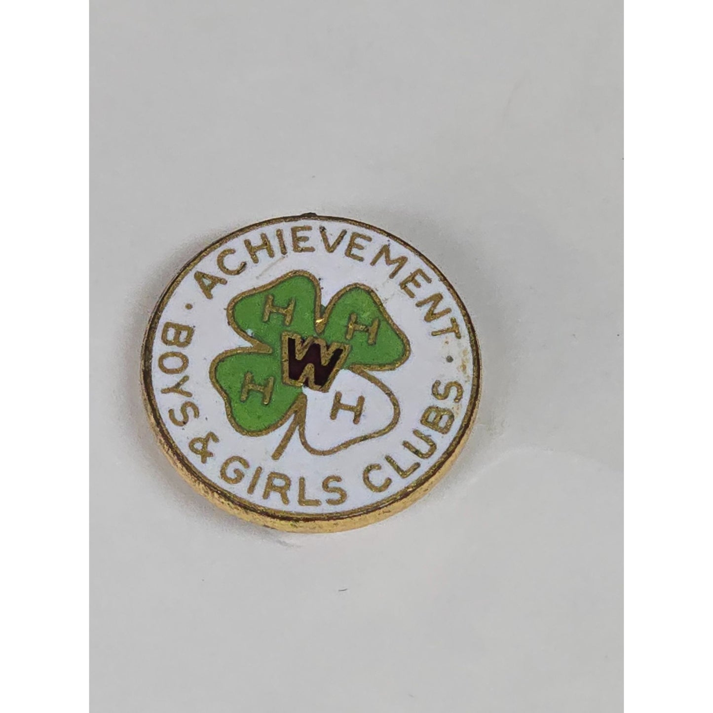 Vintage Wisconsin 4-H Boys & Girls Clubs Achievement Pin Gold Tone Cloisonné Circle Design