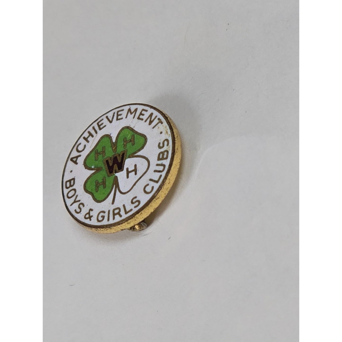 Vintage Wisconsin 4-H Boys & Girls Clubs Achievement Pin Gold Tone Cloisonné Circle Design
