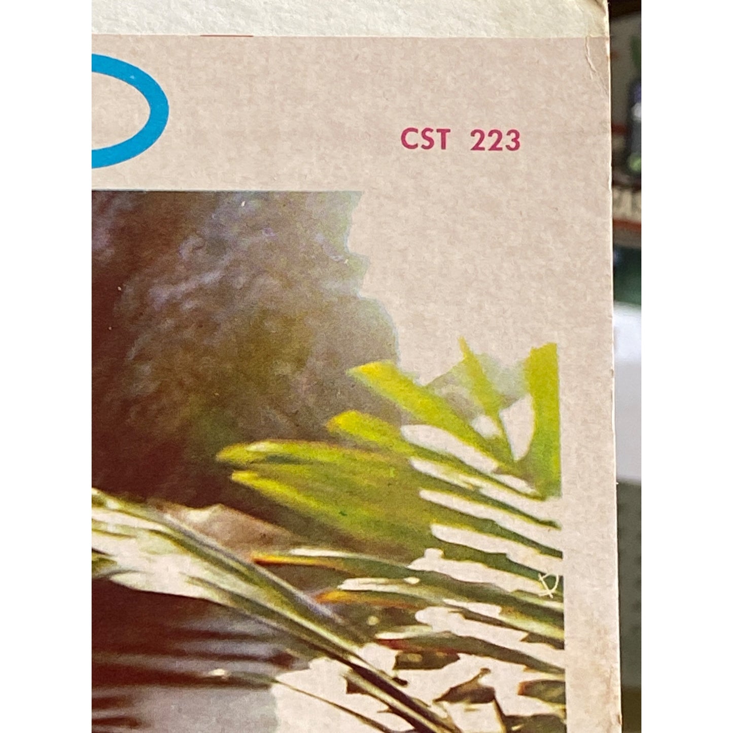 Hawaii Calling Vinyl Record Stereo LP By Crown Records CST 223