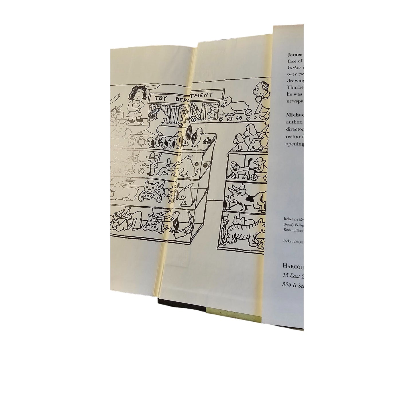 James Thurber "People Have More Fun Than Anybody" Hardcover Book 1994