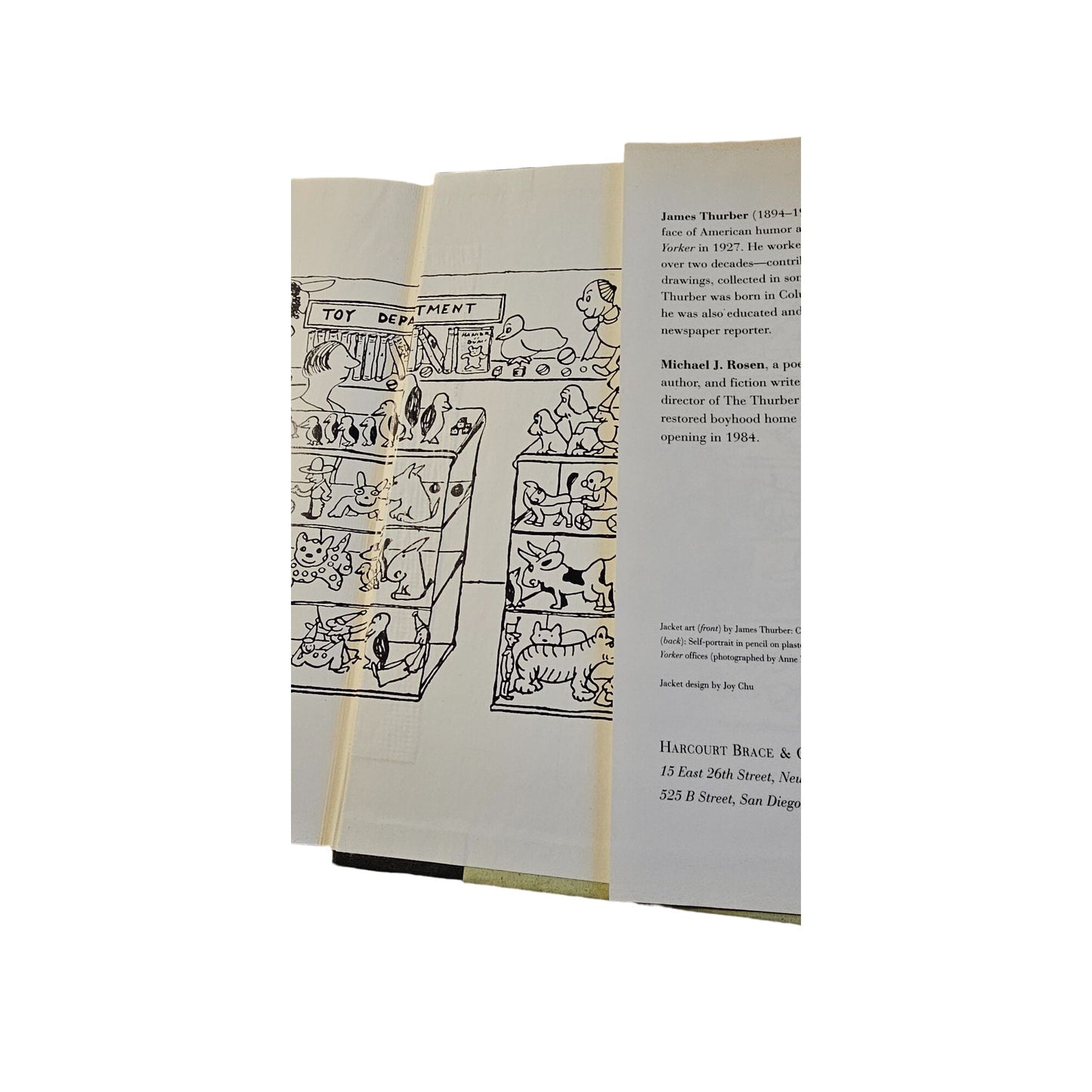 James Thurber "People Have More Fun Than Anybody" Hardcover Book 1994