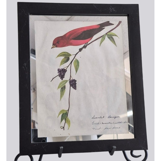 Scarlet Tanager Vintage Framed Bird Cut Out