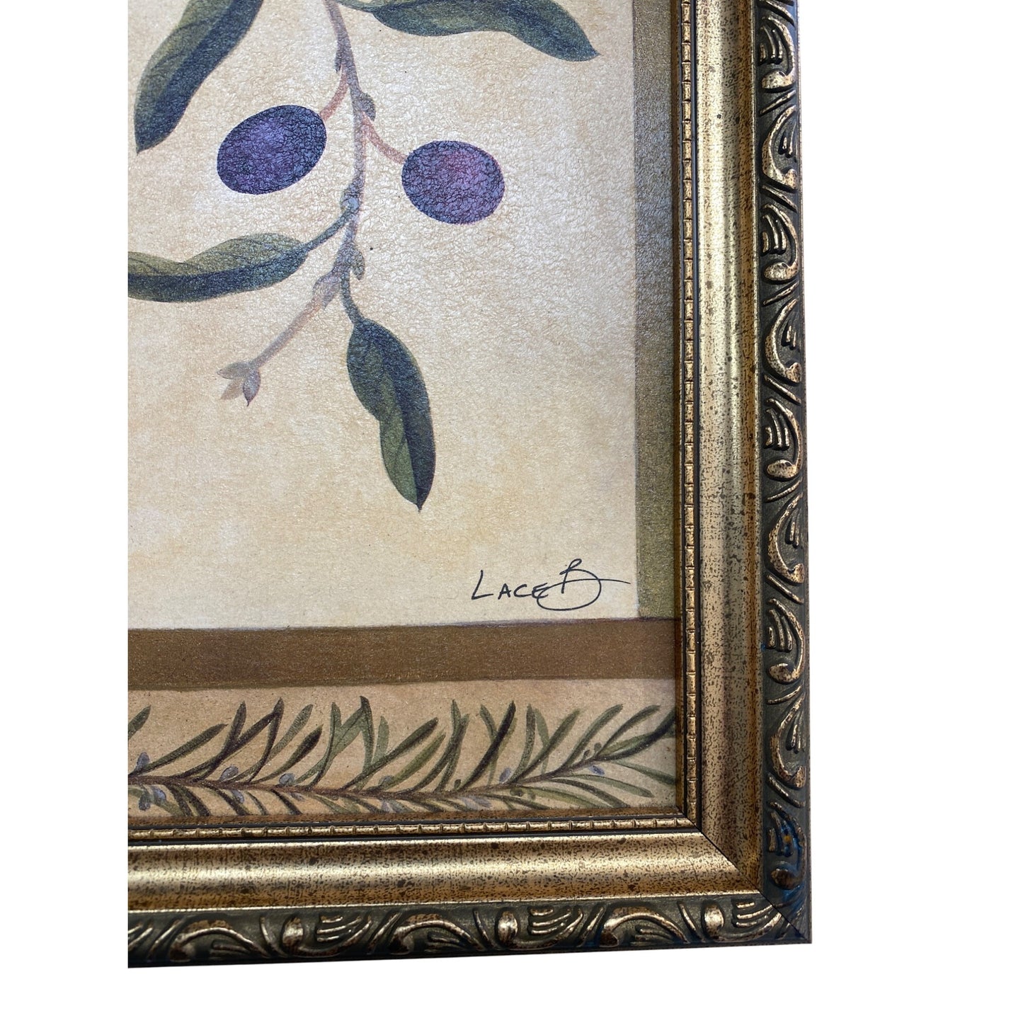Framed Art Print With Olive Branch Design By Lace