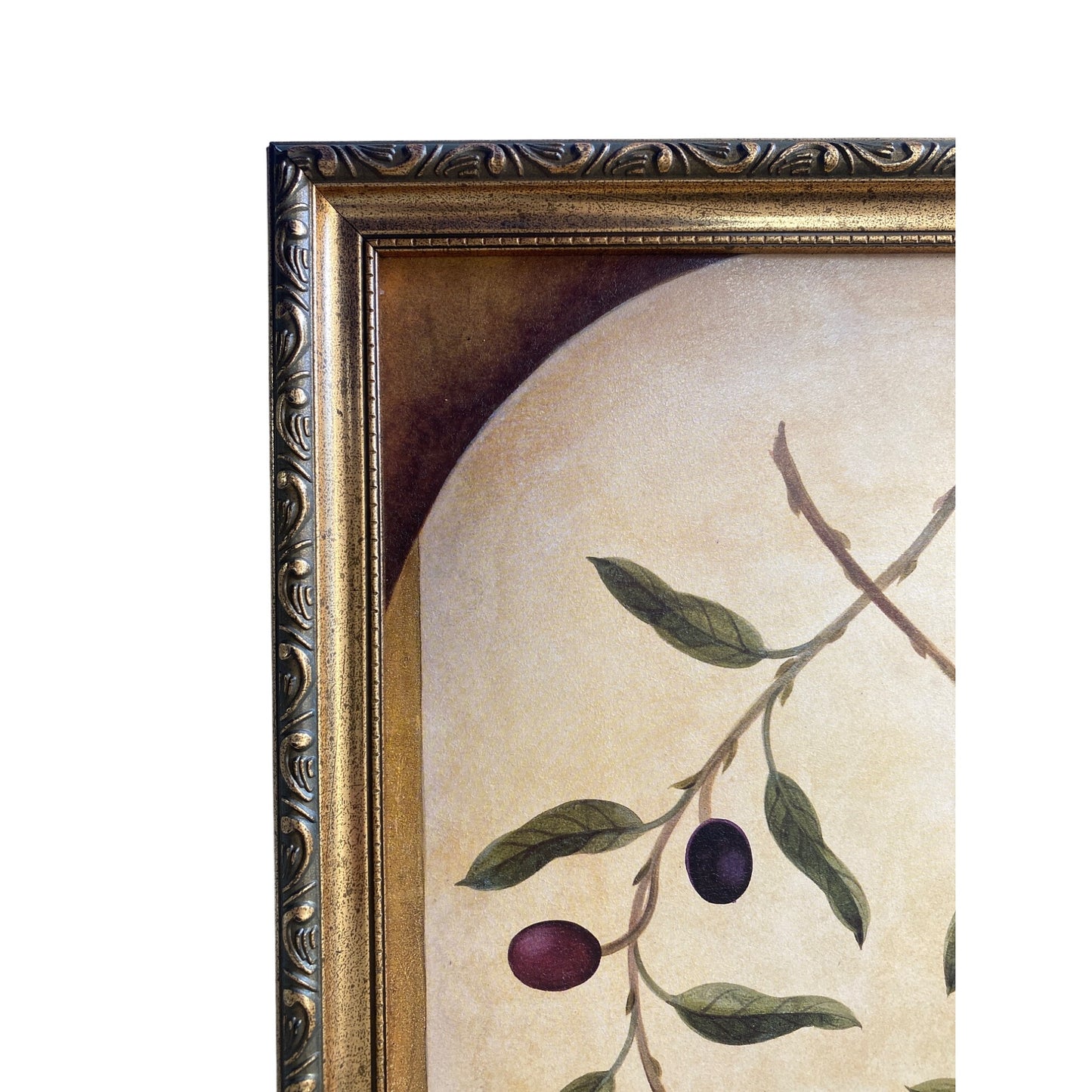 Framed Art Print With Olive Branch Design By Lace