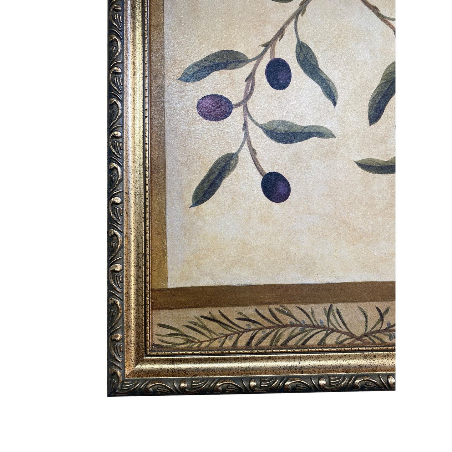 Framed Art Print With Olive Branch Design By Lace