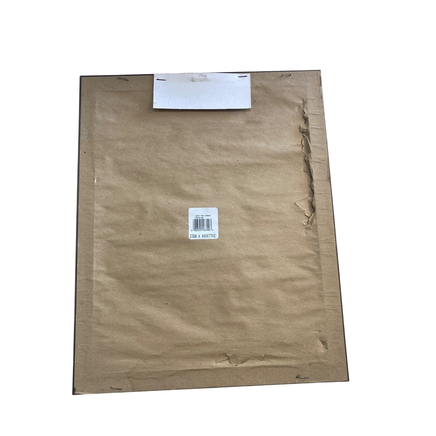 Framed Art Print With Olive Branch Design By Lace