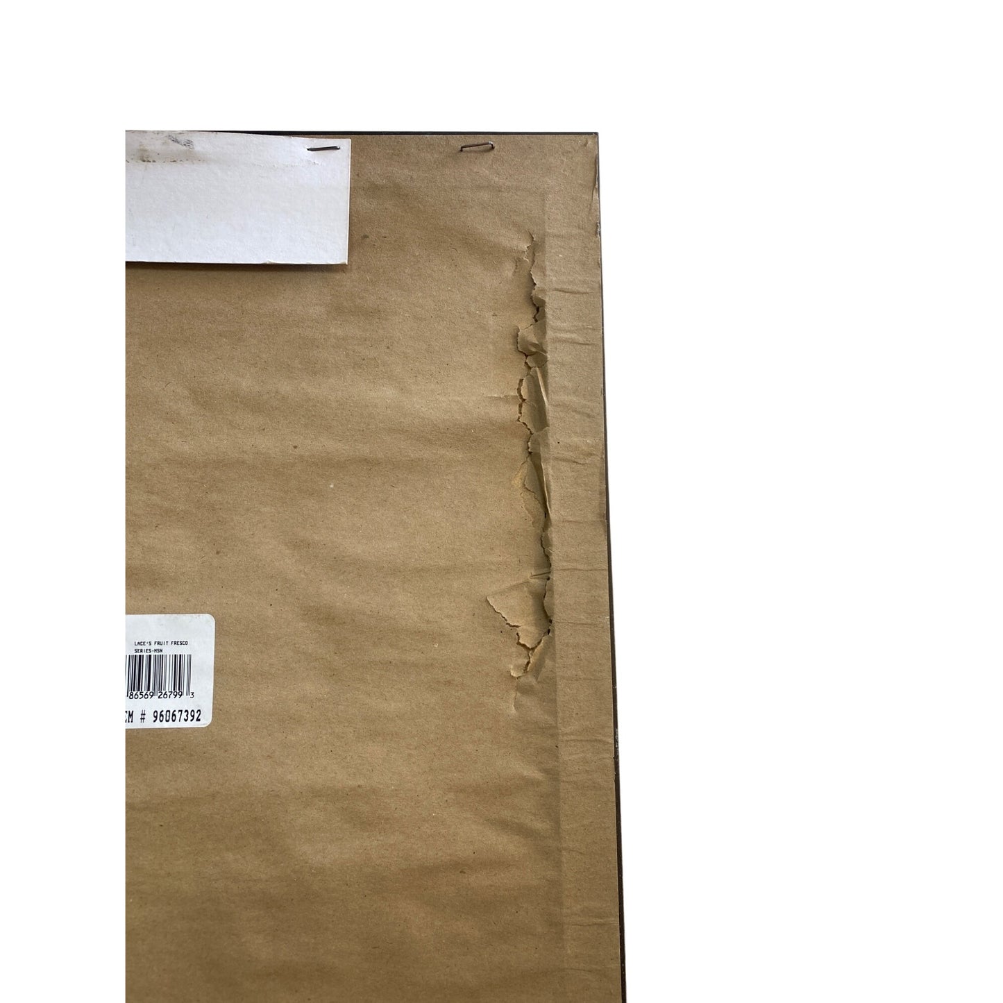 Framed Art Print With Olive Branch Design By Lace