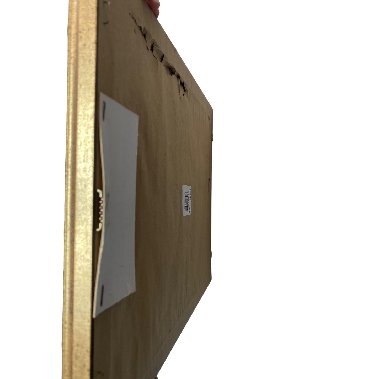 Framed Art Print With Olive Branch Design By Lace