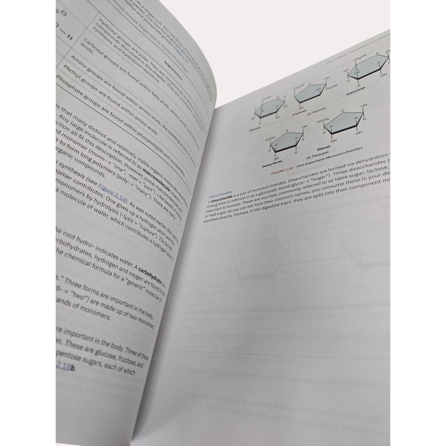 Anatomy And Physiology 2e. By OpenStax Hardcover Textbook