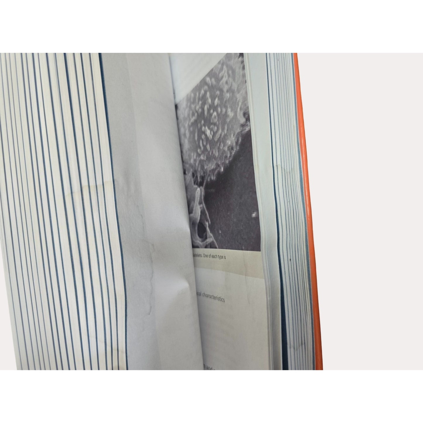 Anatomy And Physiology 2e. By OpenStax Hardcover Textbook