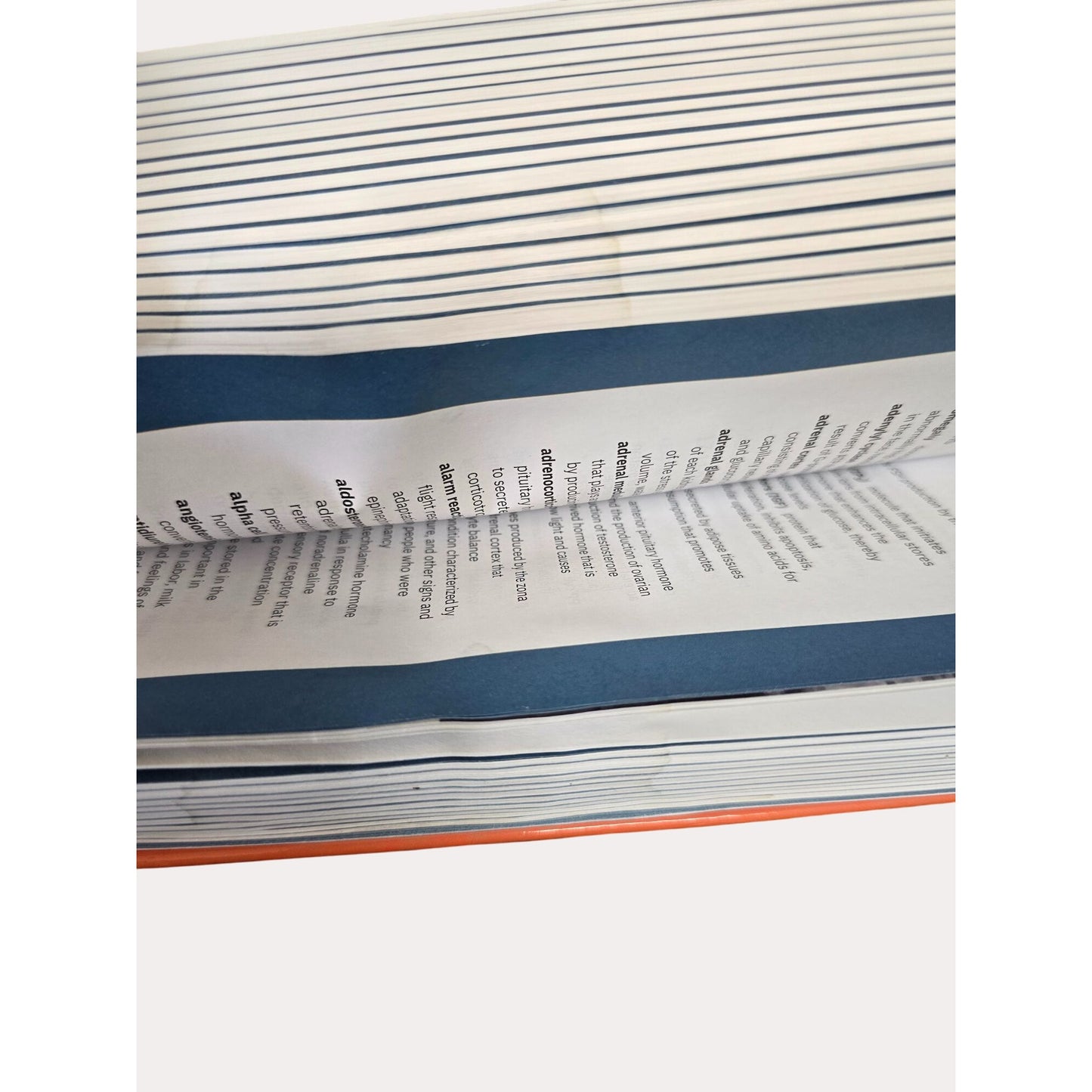 Anatomy And Physiology 2e. By OpenStax Hardcover Textbook