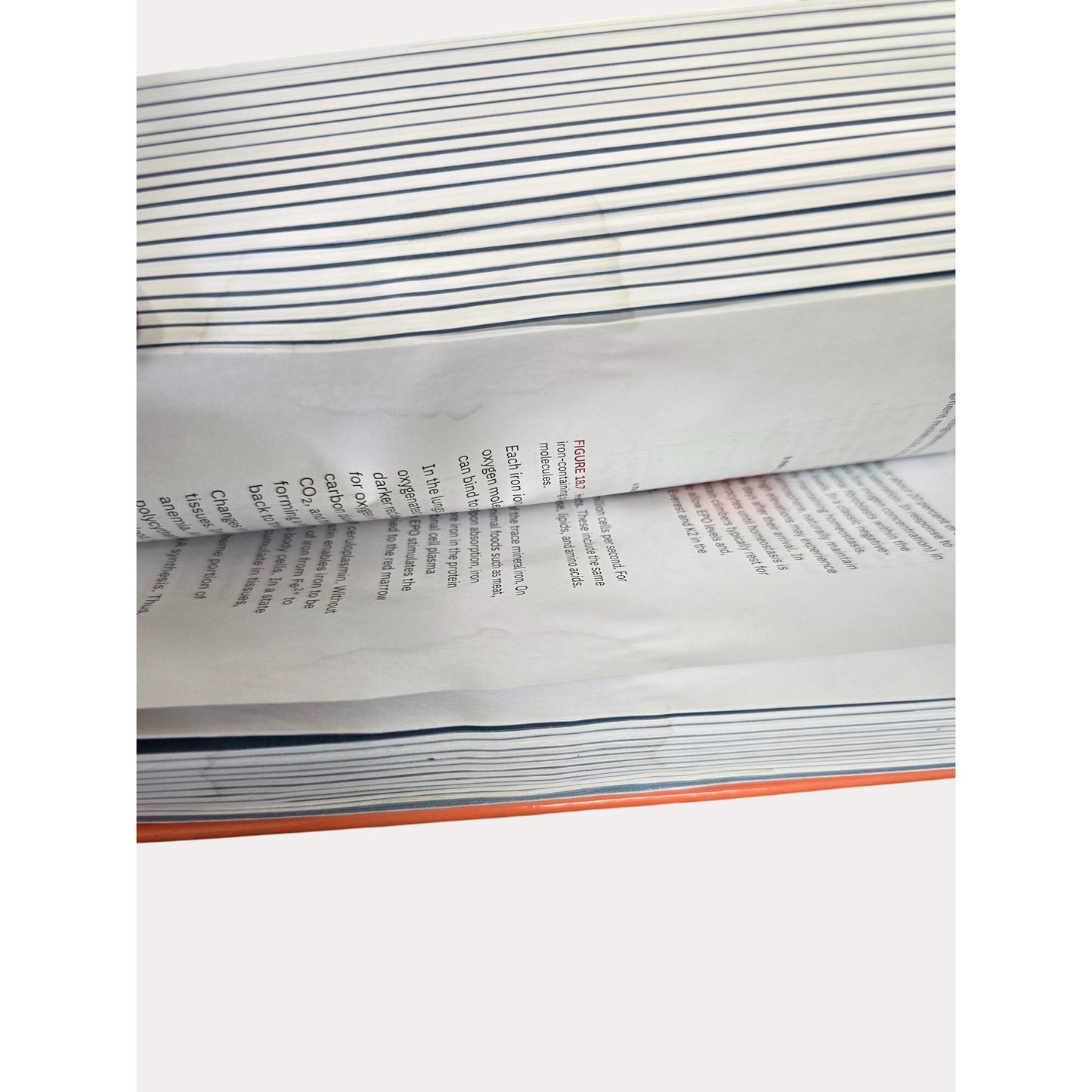 Anatomy And Physiology 2e. By OpenStax Hardcover Textbook