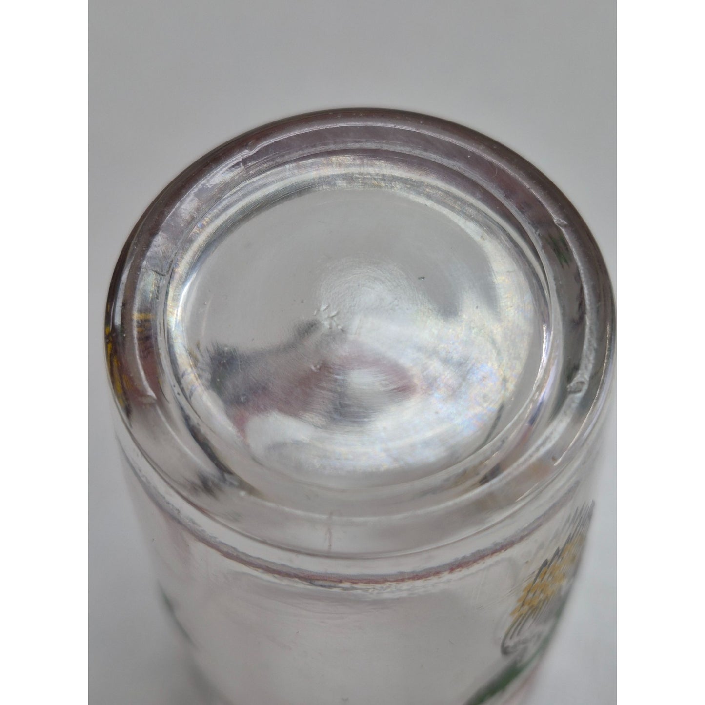 Vintage Pheasant Bird Glass Tumbler