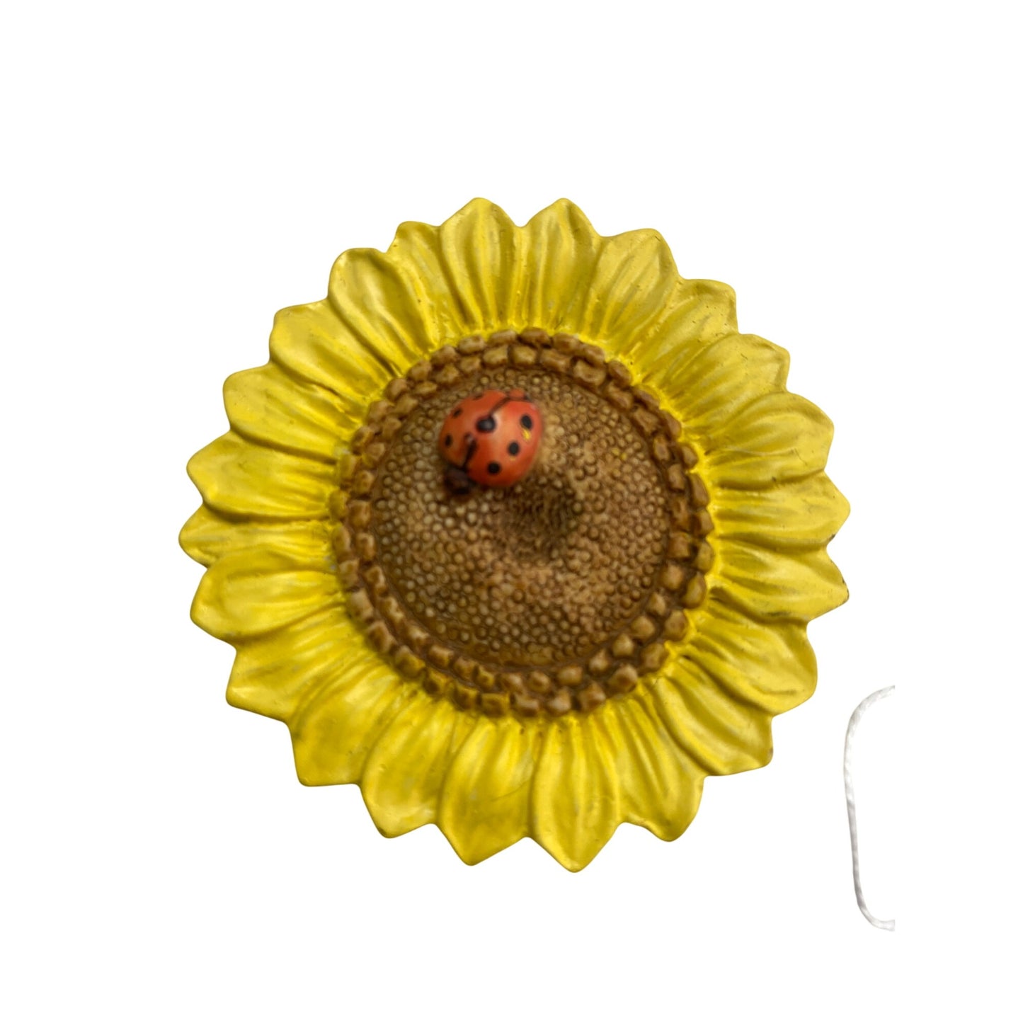 Hand-Painted Floral & Wildlife-Themed Magnets