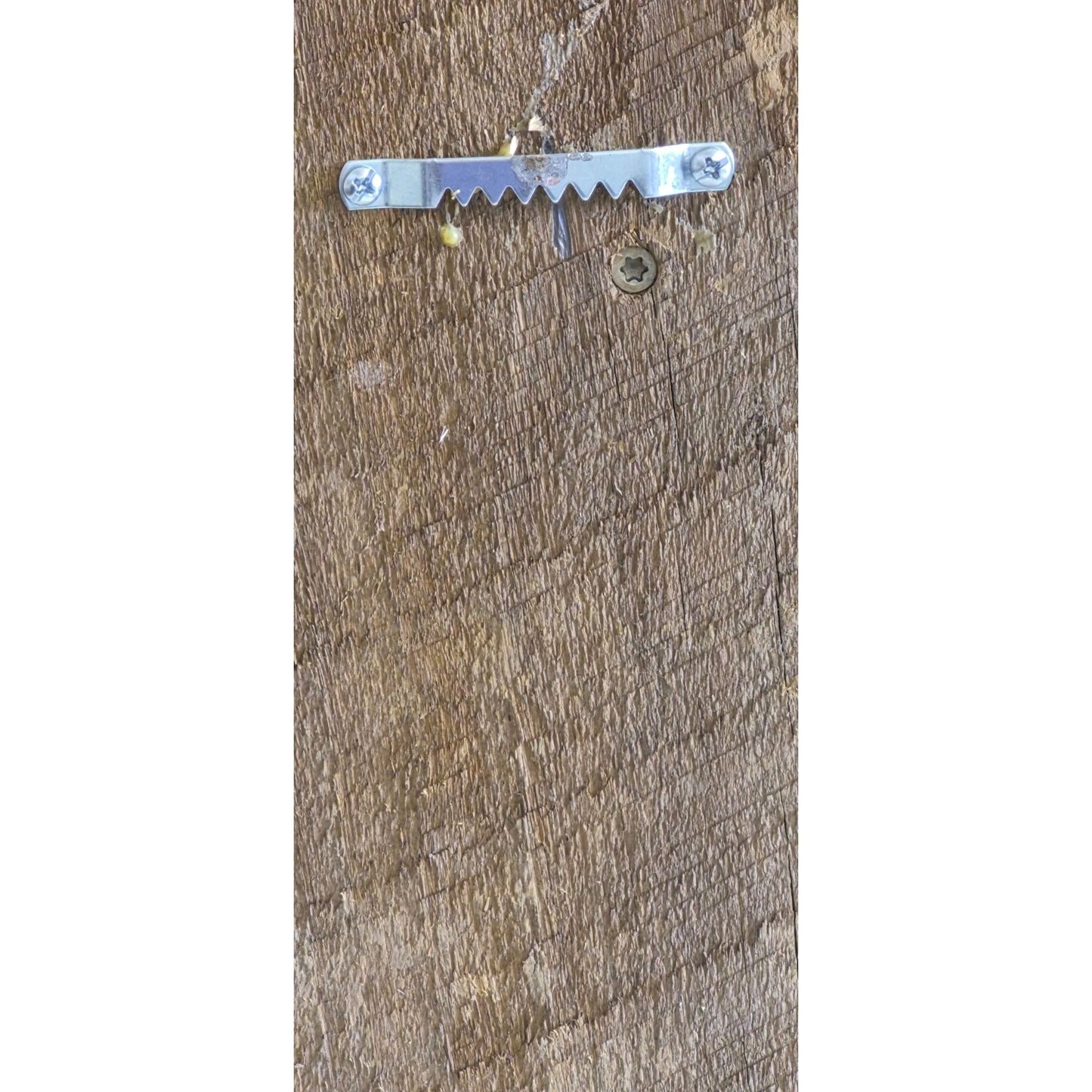 Wisconsin Folk Art Wall Hanging - LOCALLY MADE