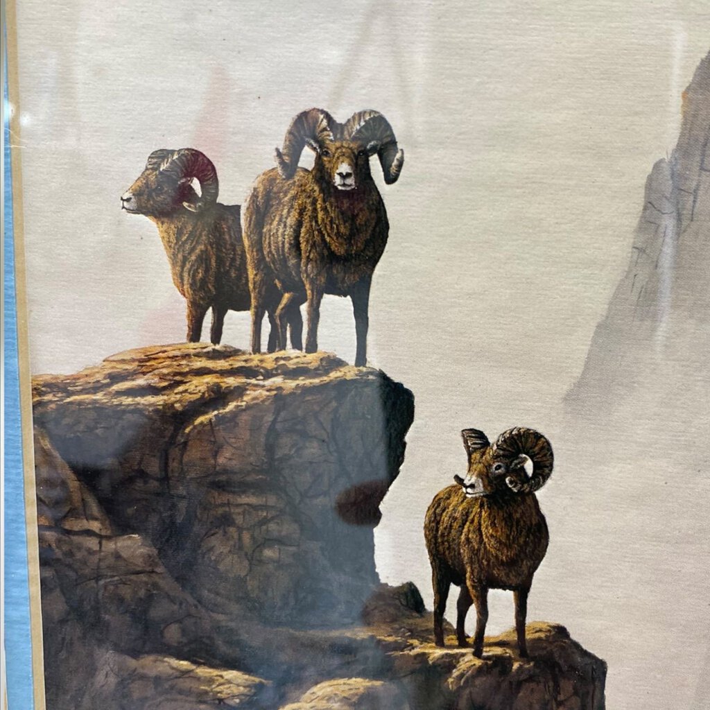 Vintage Ram Sheep Religious Text Photo Print Portrait Dicksons Seymour Indiana