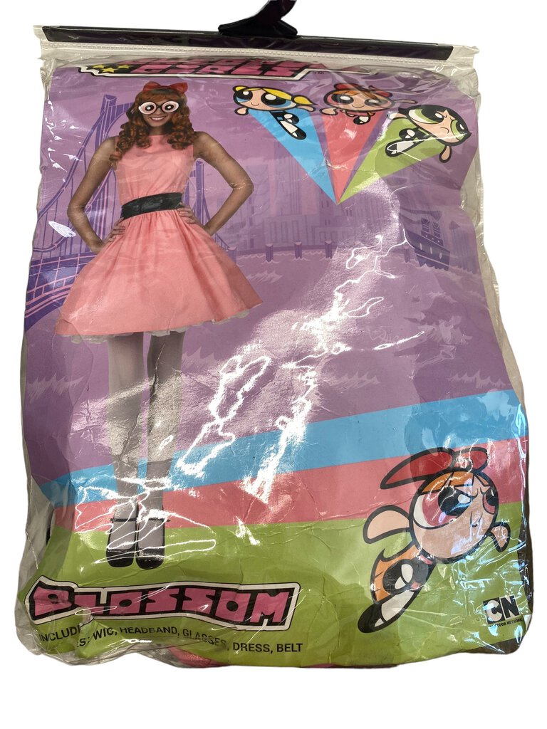Powerpuff Girls Blossom Adult Costume 1X