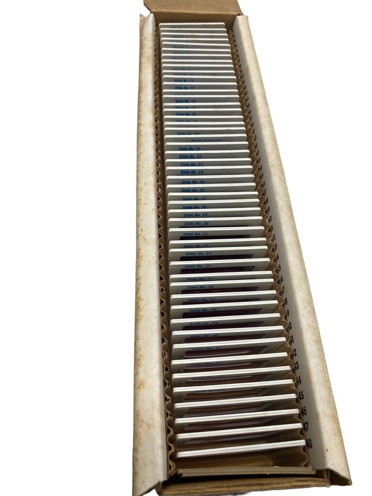 Pfaff Sewing Machine Operations Manual Instructions Course 35MM Slides Collection 1962