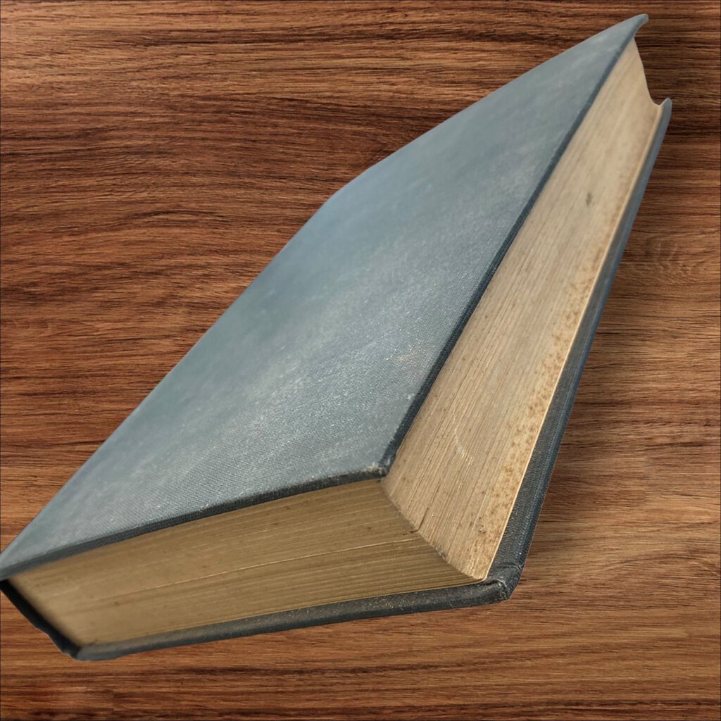 Vintage Book 1928 Herbert Hoover A Reminiscent Biography by Will Irwin The Century Co