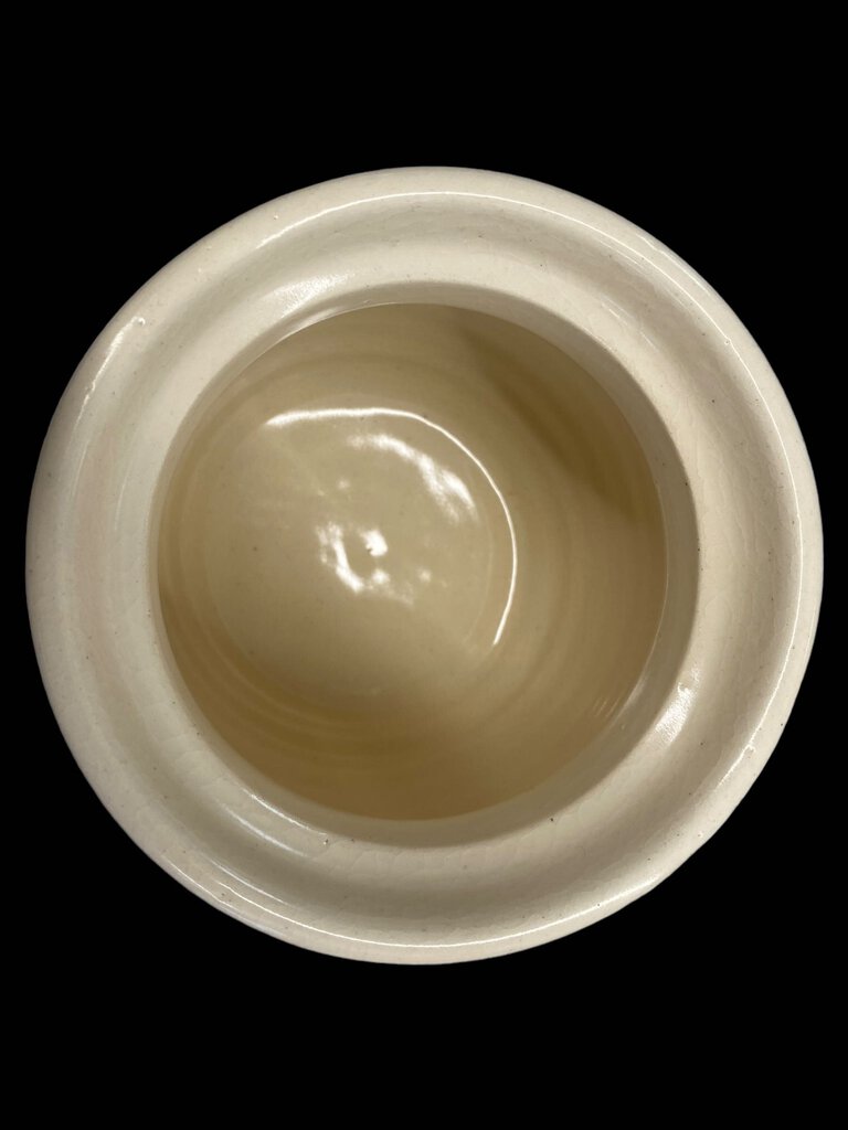 Rustic Ceramic Lidded Pot Pinecone Pine Needles