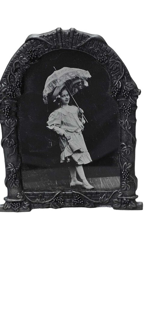 Picture Photo Frame Nickel Tone fits photo 3.5x 5.5 Grape Vine Arched