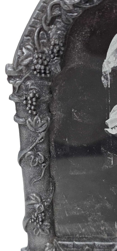 Picture Photo Frame Nickel Tone fits photo 3.5x 5.5 Grape Vine Arched